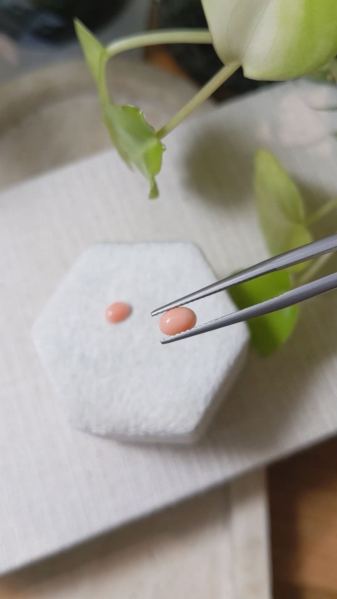 0.99 Ct.Tw.Total Carat Weight Cabochon Coral Pair from Italy Size Video