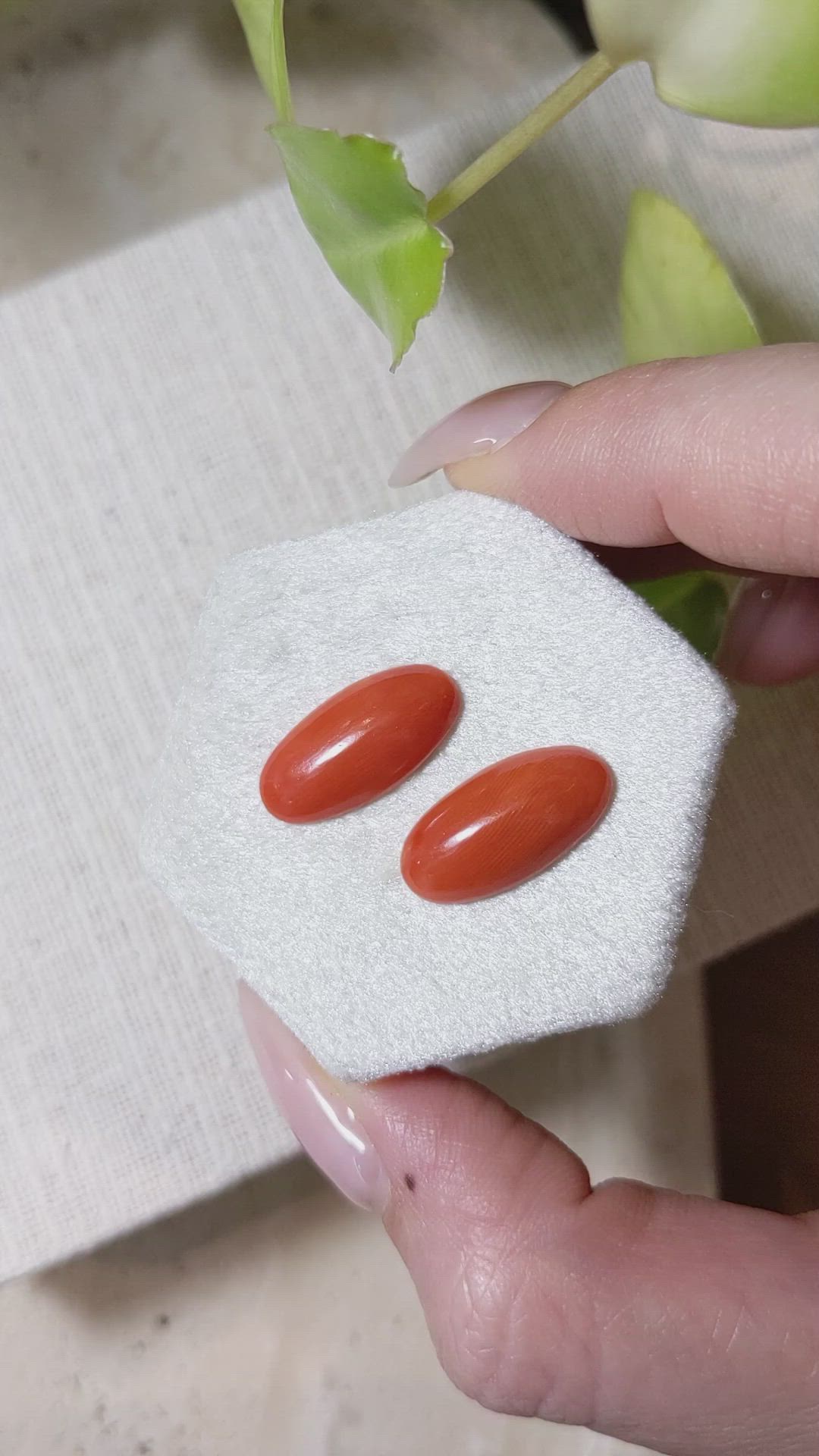 7.97&nbsp;Ct.Tw.Total Carat Weight Cabochon Coral Pair from Italy Size Video