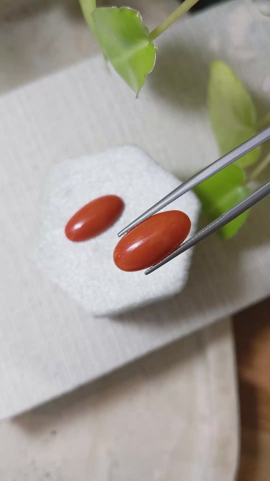 7.97&nbsp;Ct.Tw.Total Carat Weight Cabochon Coral Pair from Italy Size Video