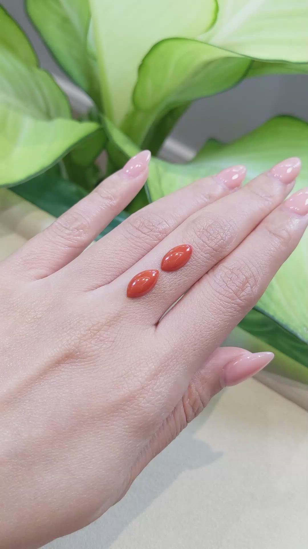 4.00 Ct.Tw.Total Carat Weight Cabochon Coral Pair from Italy Size Video