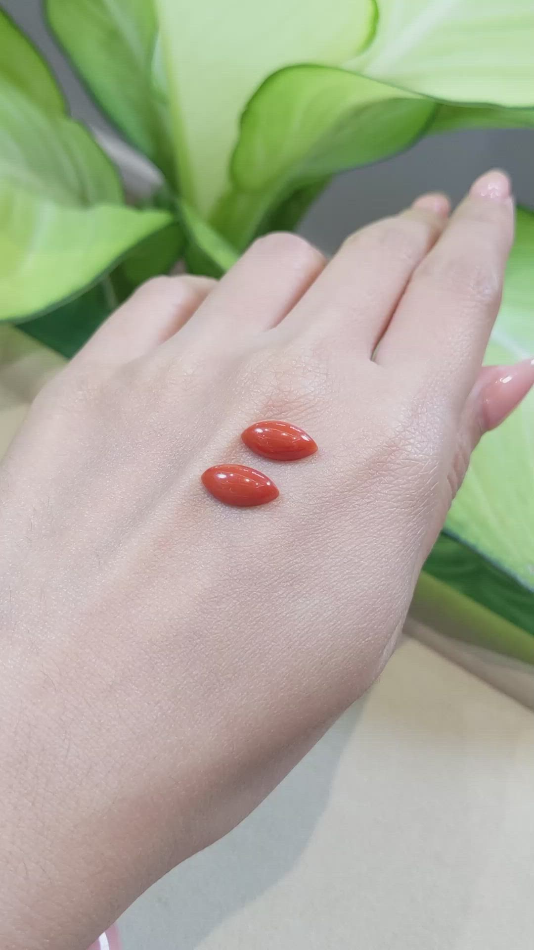 4.00 Ct.Tw.Total Carat Weight Cabochon Coral Pair from Italy Size Video