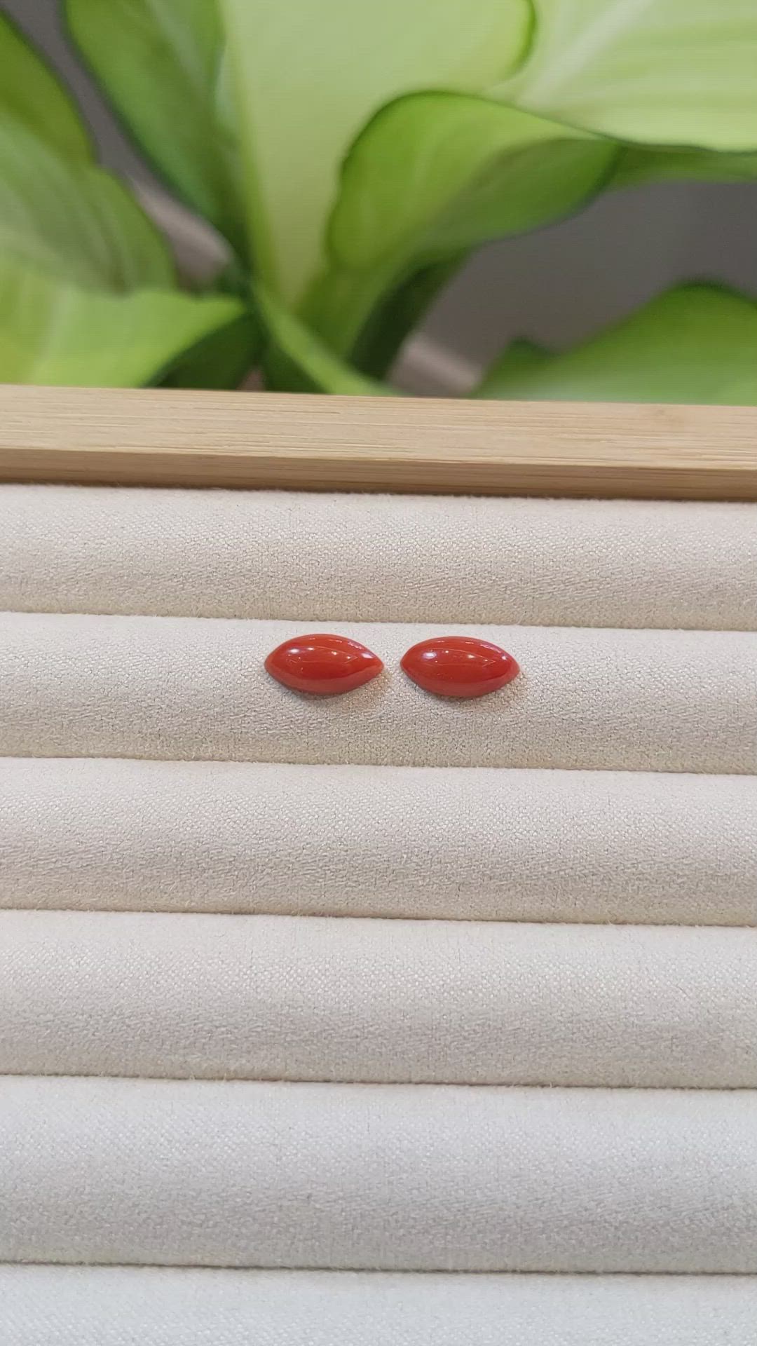 4.00 Ct.Tw.Total Carat Weight Cabochon Coral Pair from Italy Size Video