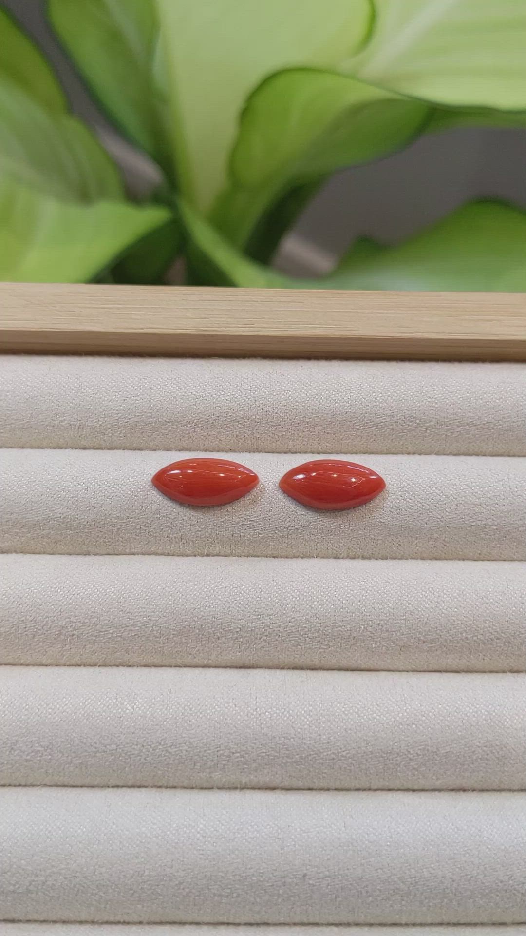 5.47&nbsp;Ct.Tw.Total Carat Weight Cabochon Coral Pair from Italy Size Video