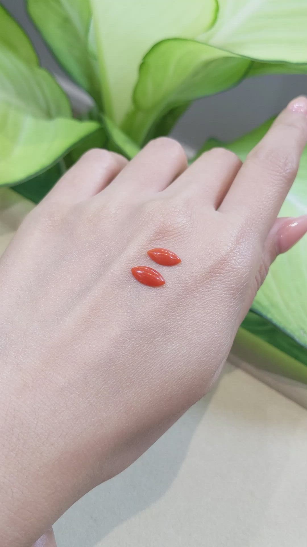 1.27&nbsp;Ct.Tw.Total Carat Weight Cabochon Coral Pair from Italy Size Video