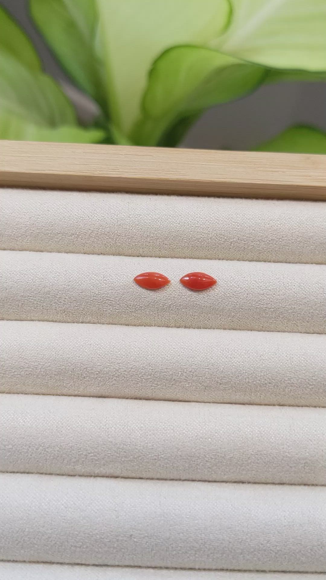 0.60&nbsp;Ct.Tw.Total Carat Weight Cabochon Coral Pair from Italy Size Video