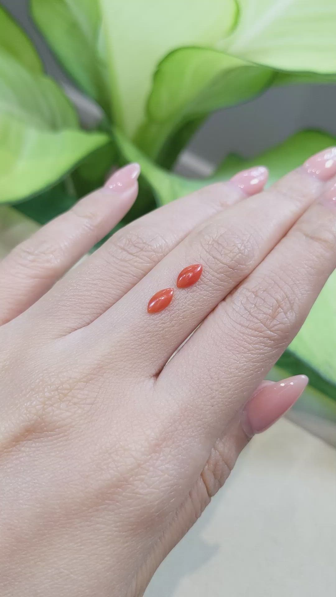 0.60&nbsp;Ct.Tw.Total Carat Weight Cabochon Coral Pair from Italy Size Video