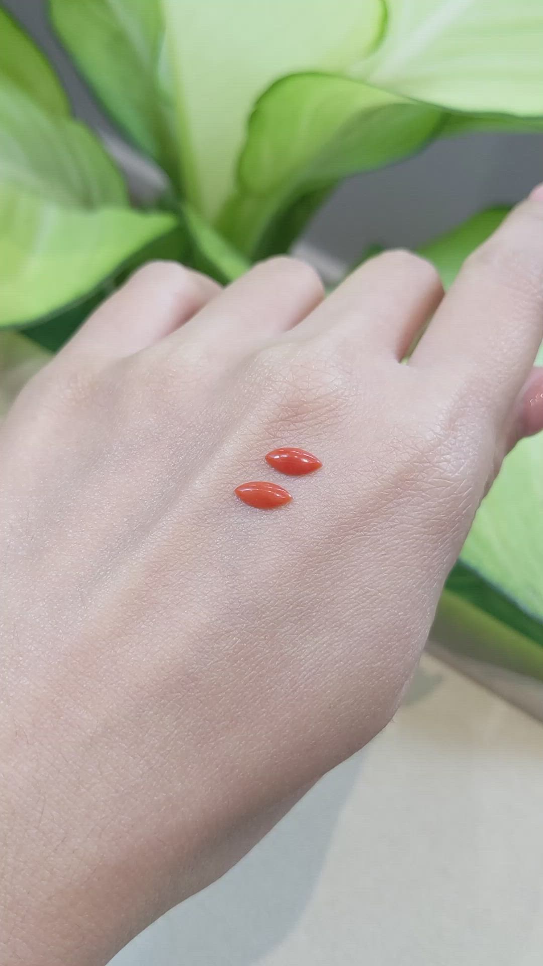 0.60&nbsp;Ct.Tw.Total Carat Weight Cabochon Coral Pair from Italy Size Video