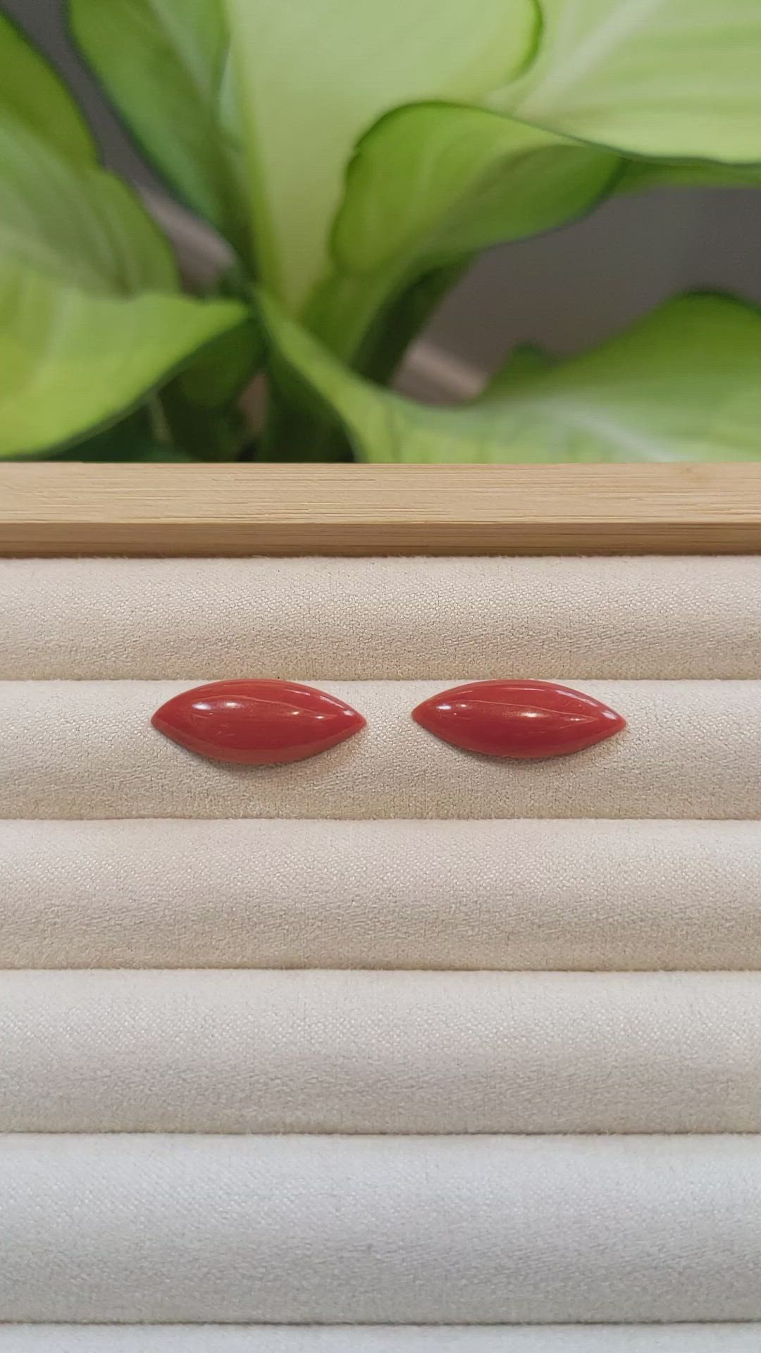 10.42&nbsp;Ct.Tw.Total Carat Weight Cabochon Coral Pair from Italy Size Video