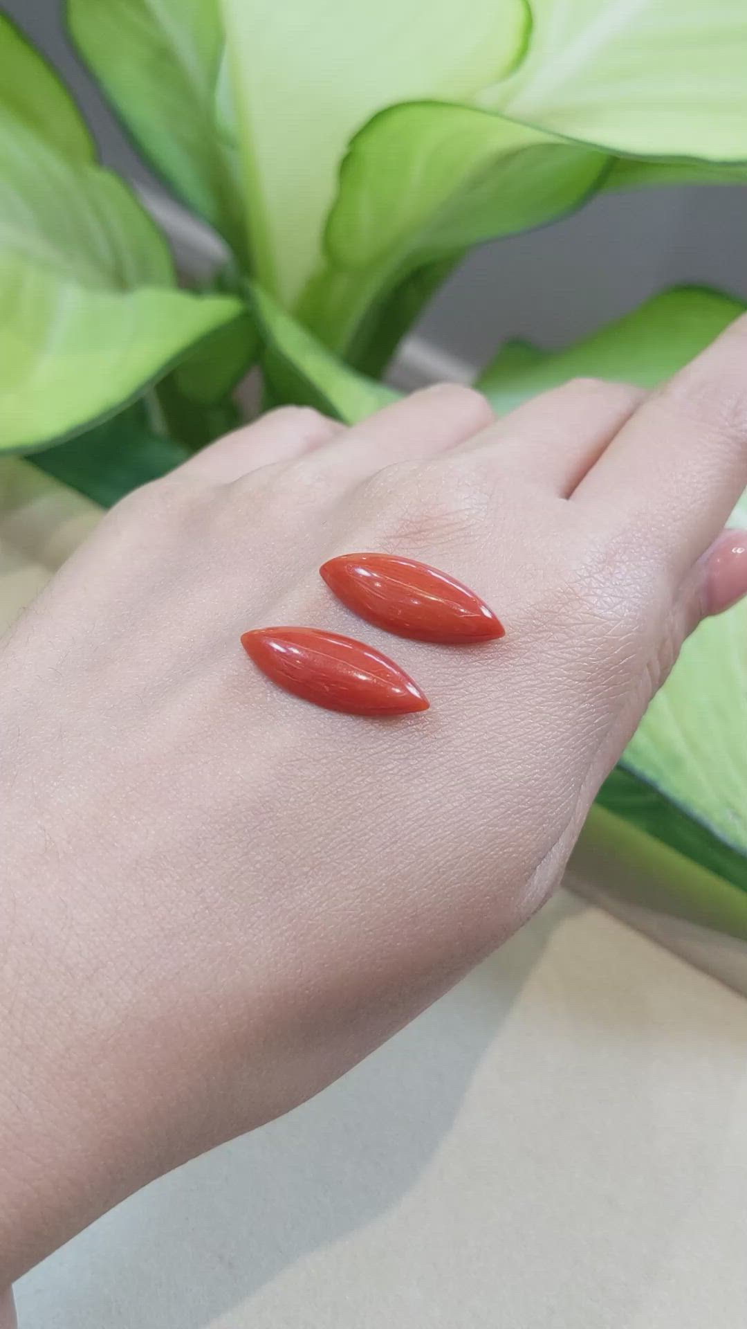 10.42&nbsp;Ct.Tw.Total Carat Weight Cabochon Coral Pair from Italy Size Video