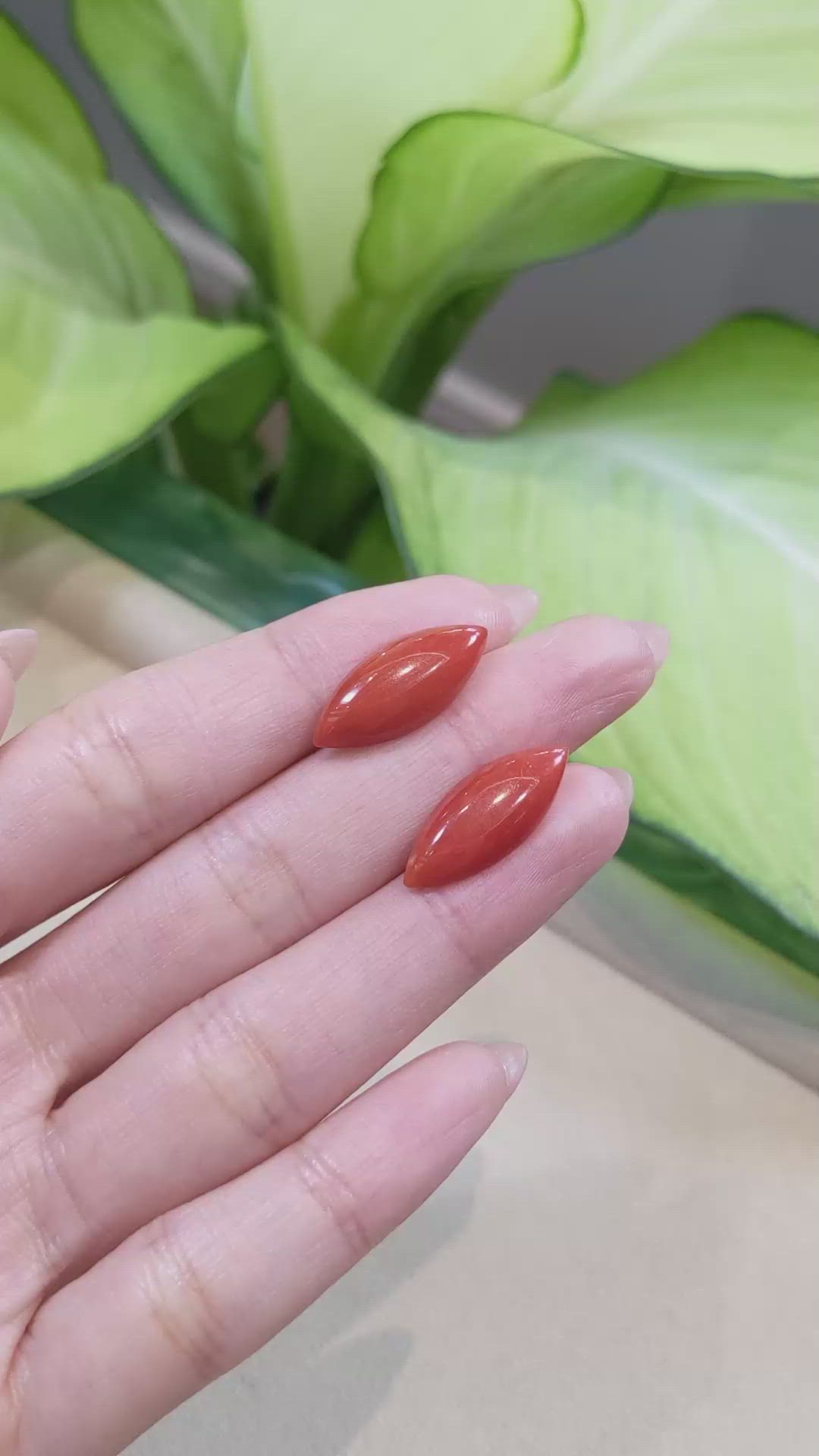 10.42&nbsp;Ct.Tw.Total Carat Weight Cabochon Coral Pair from Italy Size Video