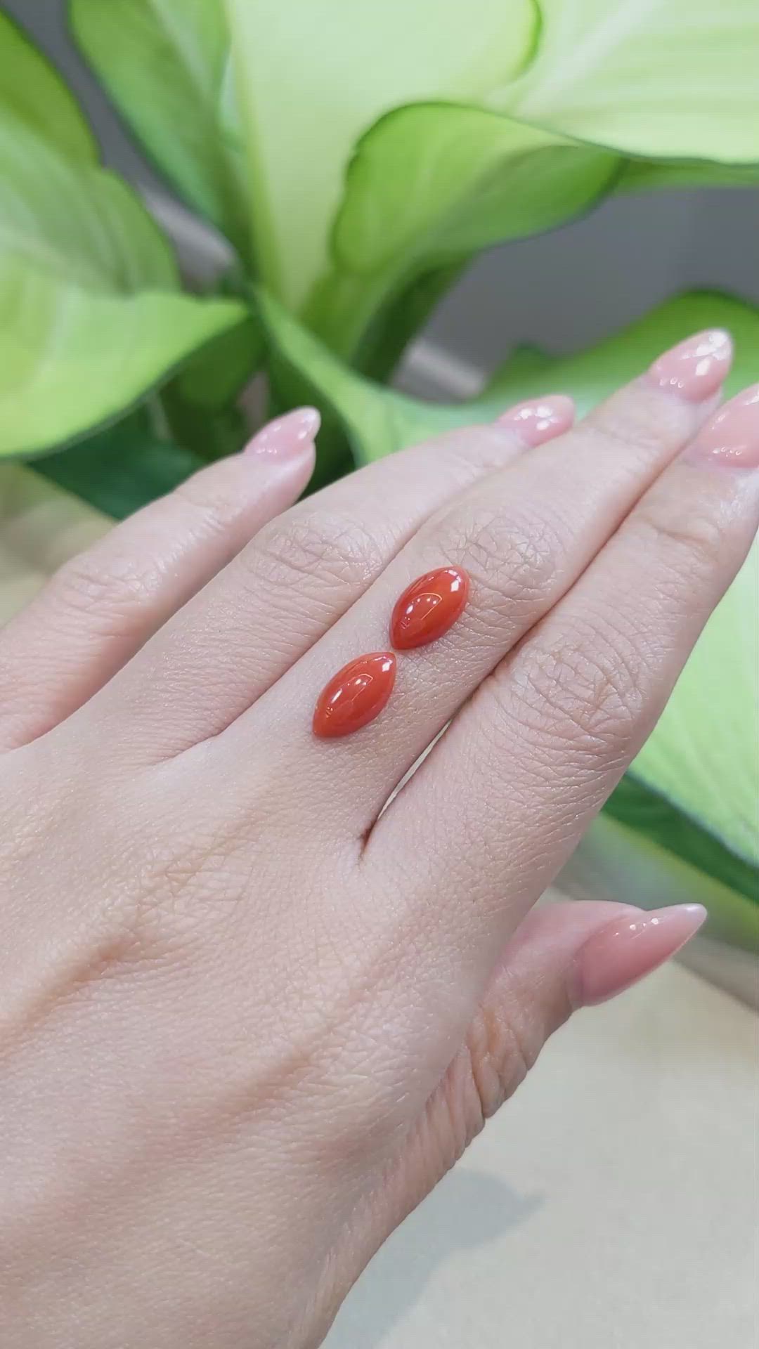 3.60&nbsp;Ct.Tw.Total Carat Weight Cabochon Coral Pair from Italy Size Video