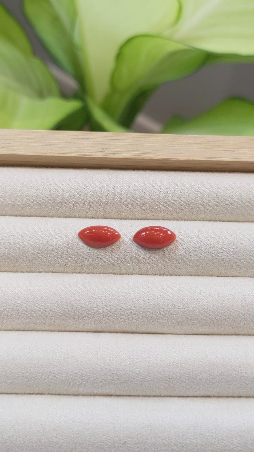 3.60&nbsp;Ct.Tw.Total Carat Weight Cabochon Coral Pair from Italy Size Video