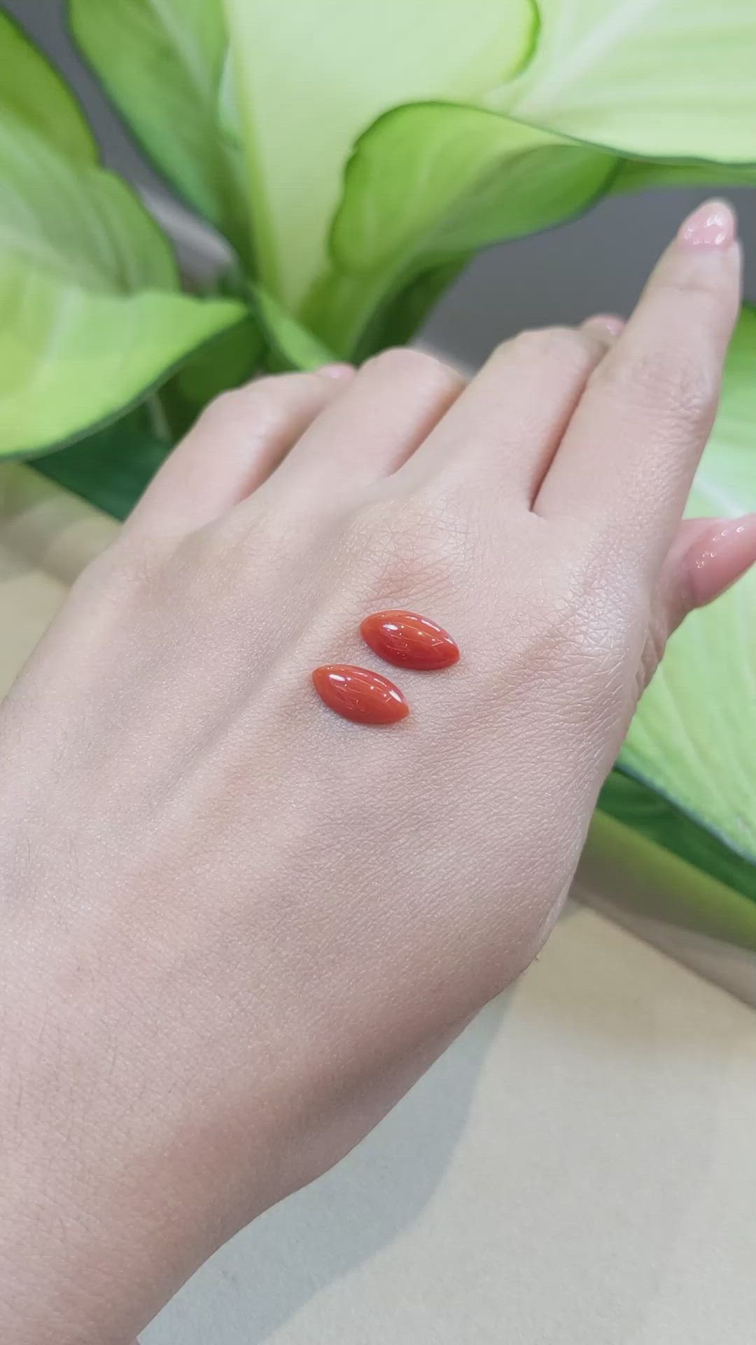 3.60&nbsp;Ct.Tw.Total Carat Weight Cabochon Coral Pair from Italy Size Video