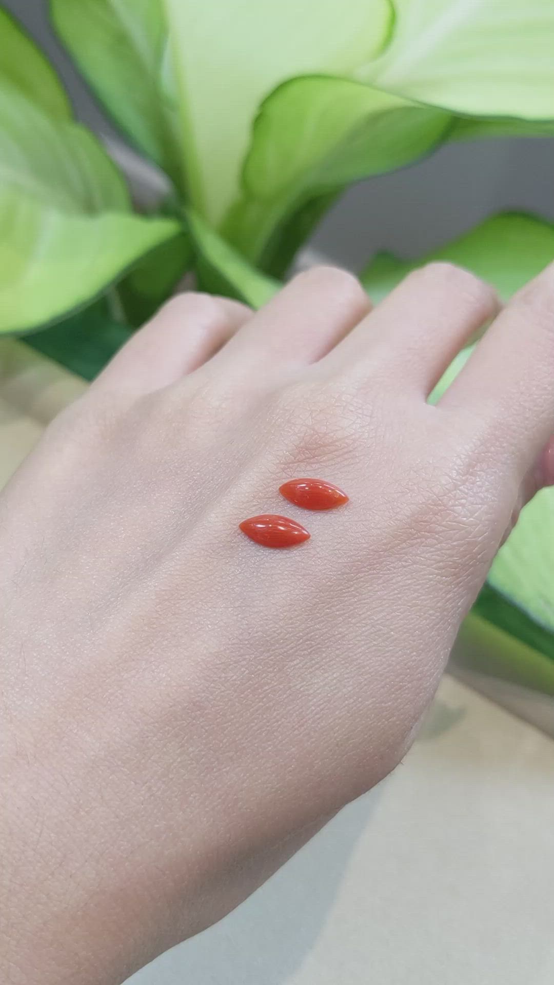 1.33&nbsp;Ct.Tw.Total Carat Weight Cabochon Coral Pair from Italy Size Video