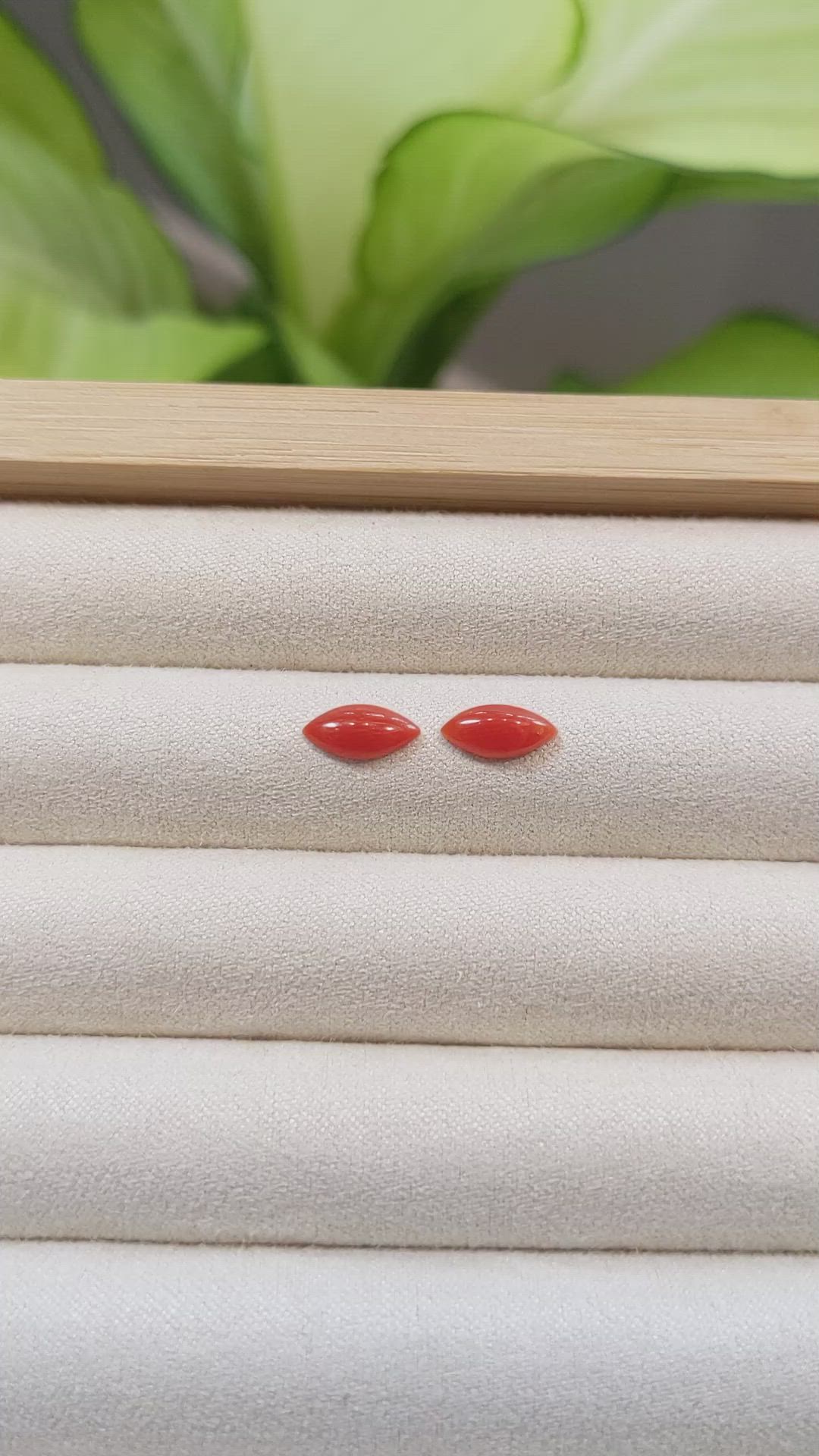 1.33&nbsp;Ct.Tw.Total Carat Weight Cabochon Coral Pair from Italy Size Video