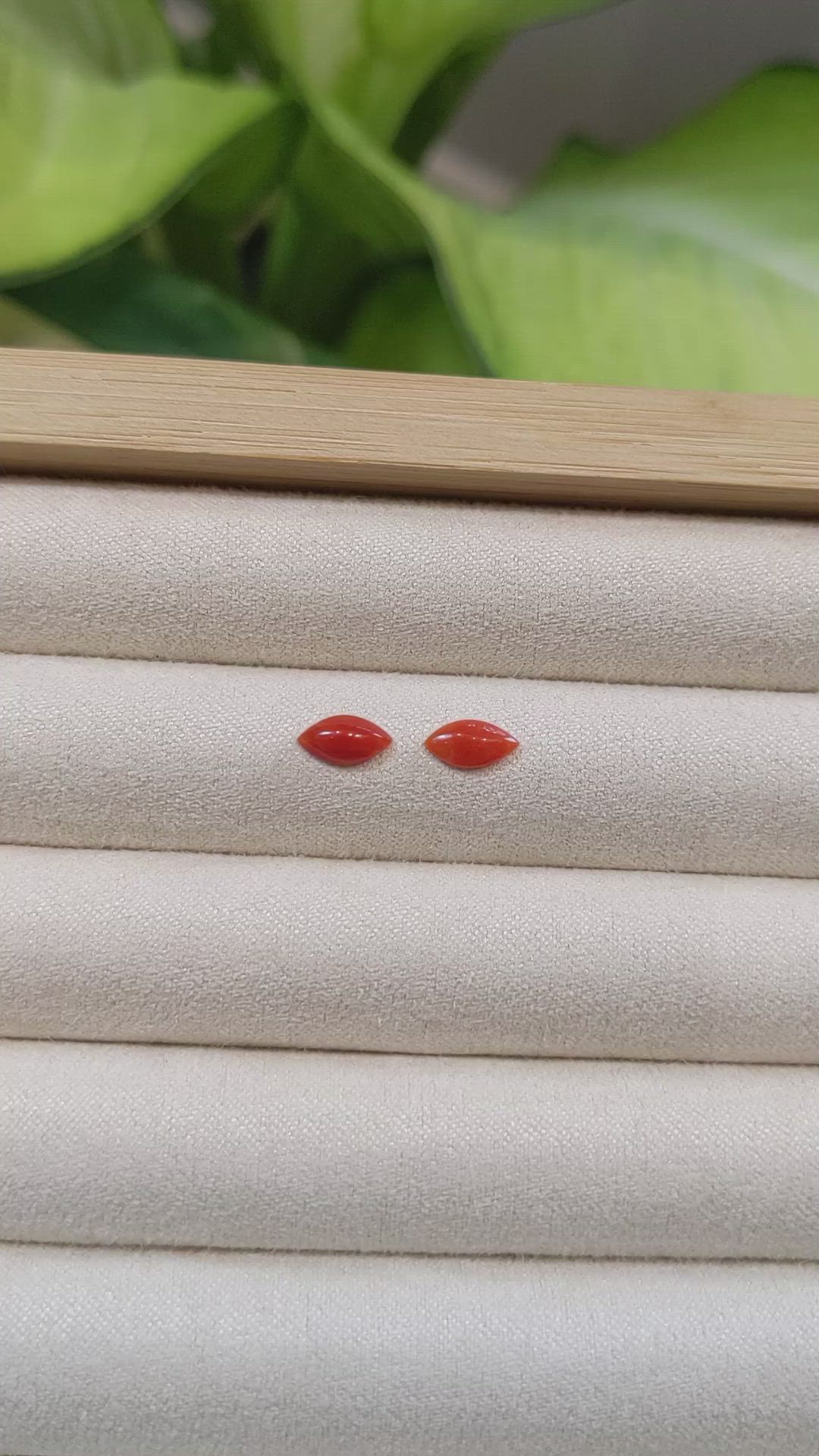 0.71&nbsp;Ct.Tw.Total Carat Weight Cabochon Coral Pair from Italy Size Video