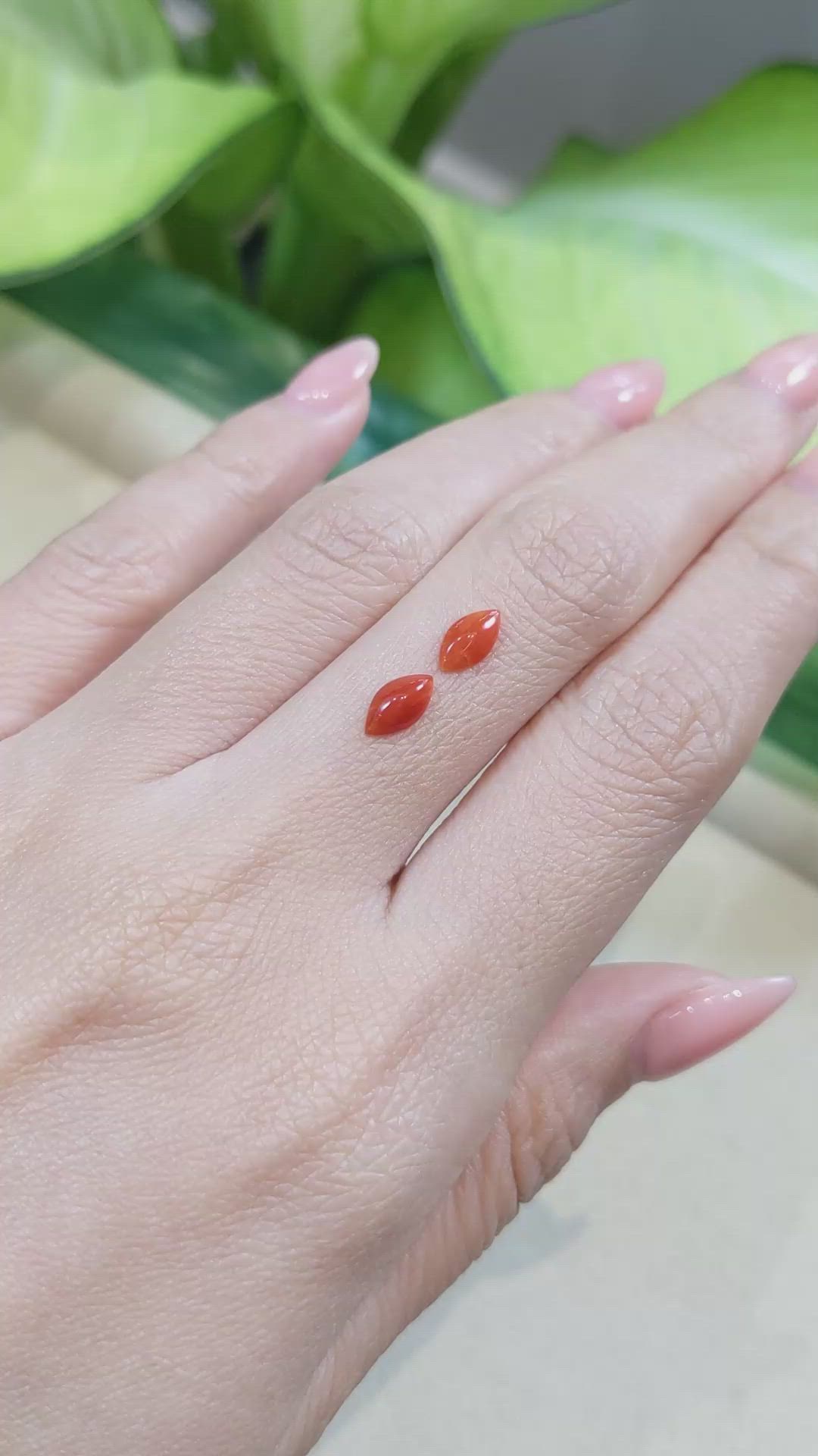 0.71&nbsp;Ct.Tw.Total Carat Weight Cabochon Coral Pair from Italy Size Video