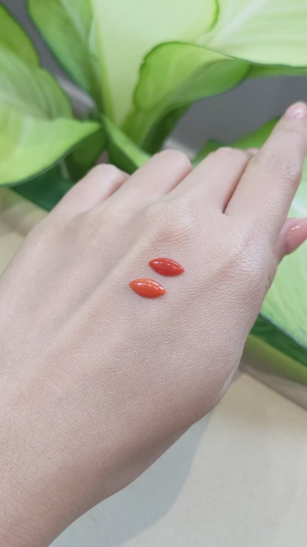 1.32&nbsp;Ct.Tw.Total Carat Weight Cabochon Coral Pair from Italy Size Video