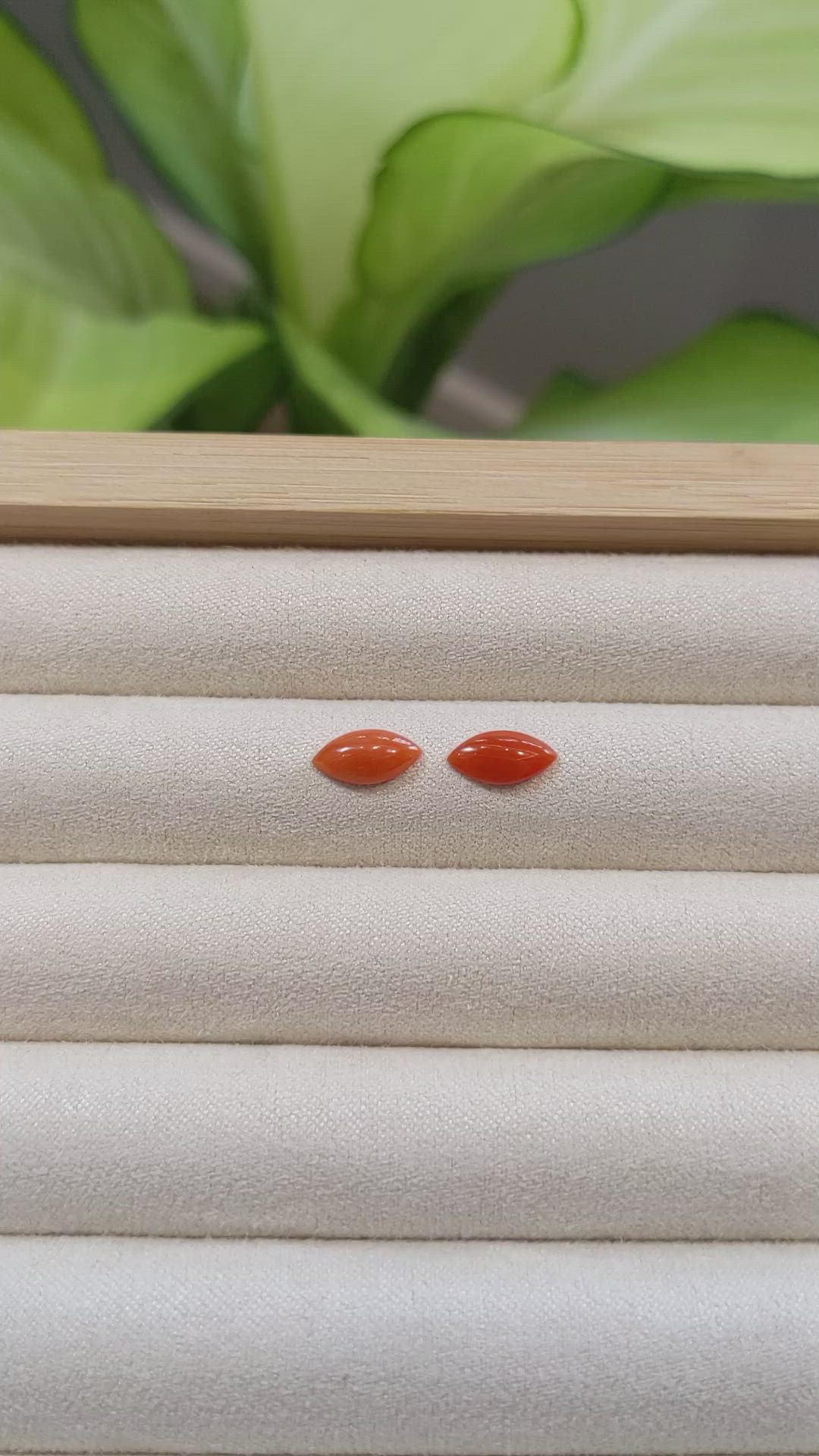 1.32&nbsp;Ct.Tw.Total Carat Weight Cabochon Coral Pair from Italy Size Video