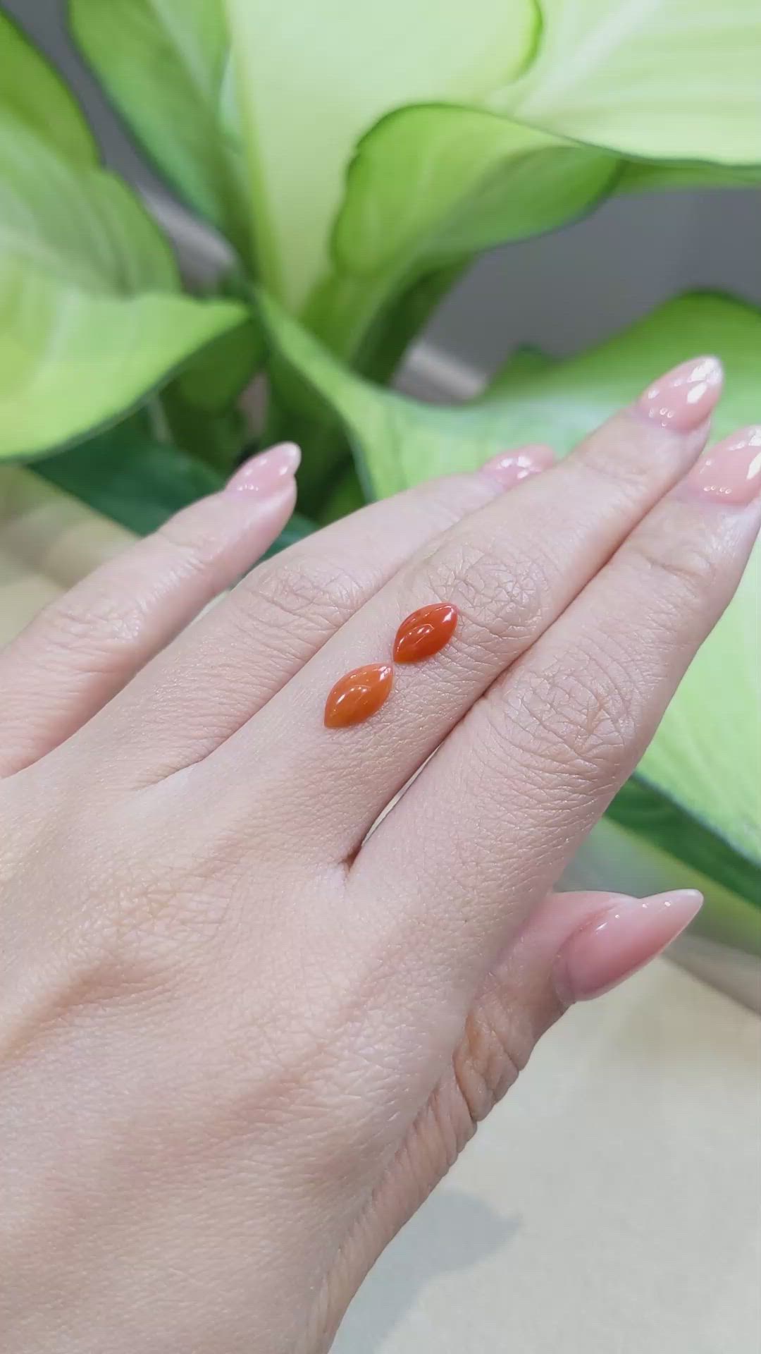 1.32&nbsp;Ct.Tw.Total Carat Weight Cabochon Coral Pair from Italy Size Video