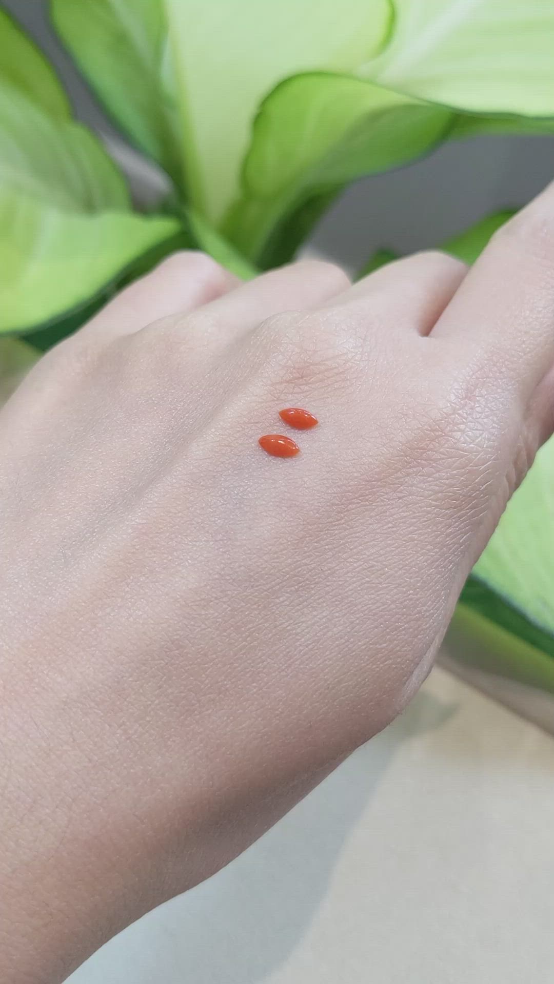 0.31&nbsp;Ct.Tw.Total Carat Weight Cabochon Coral Pair from Italy Size Video