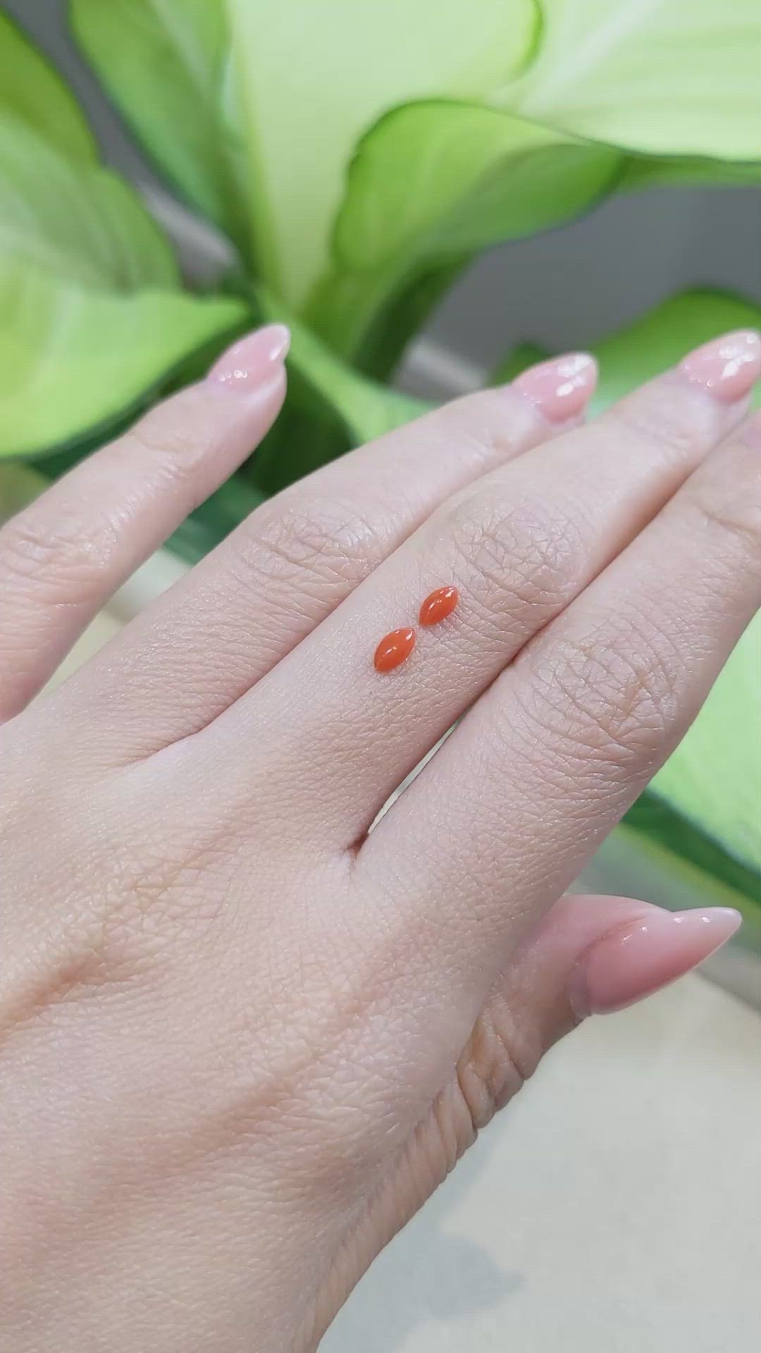 0.31&nbsp;Ct.Tw.Total Carat Weight Cabochon Coral Pair from Italy Size Video