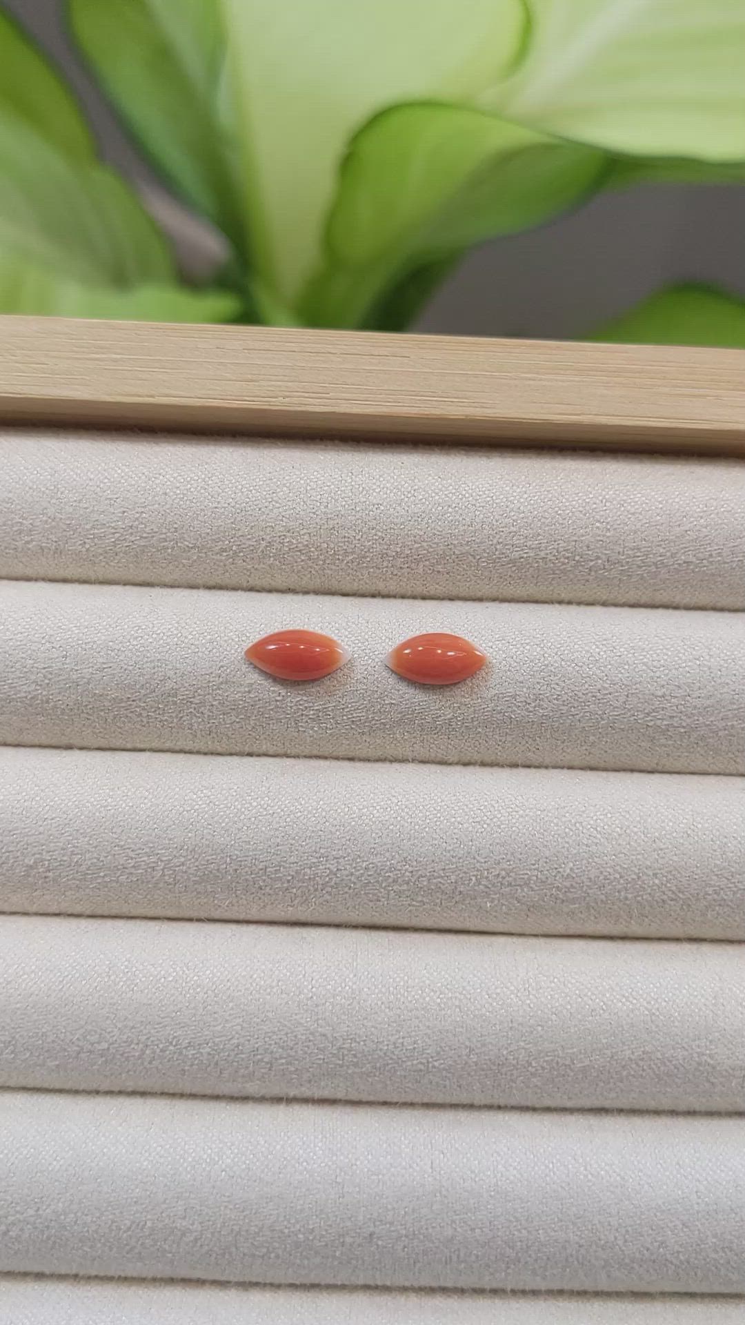 1.45&nbsp;Ct.Tw.Total Carat Weight Cabochon Coral Pair from Italy Size Video