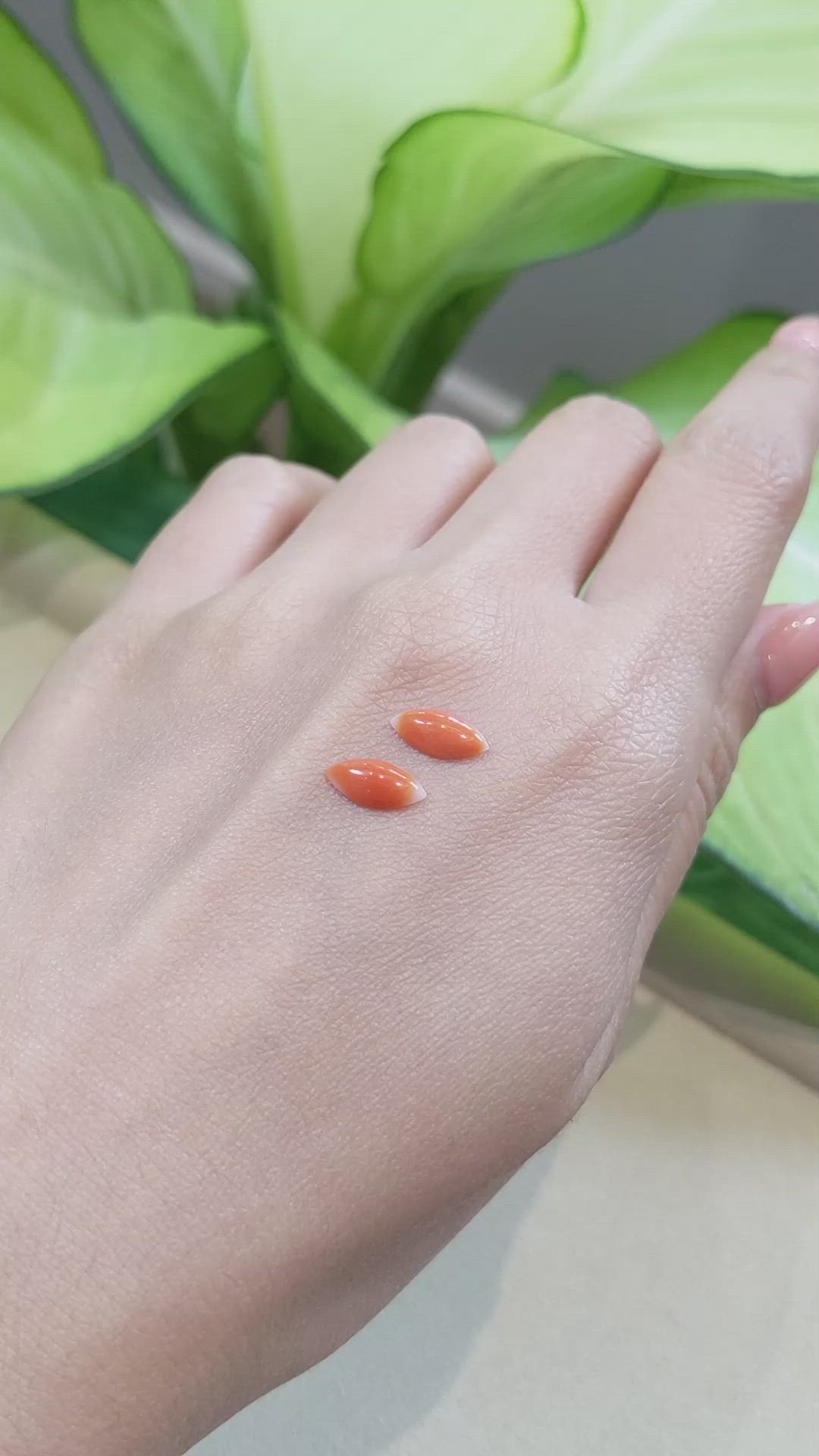 1.45&nbsp;Ct.Tw.Total Carat Weight Cabochon Coral Pair from Italy Size Video