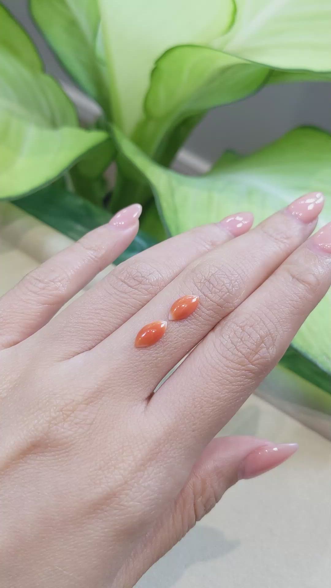 1.45&nbsp;Ct.Tw.Total Carat Weight Cabochon Coral Pair from Italy Size Video