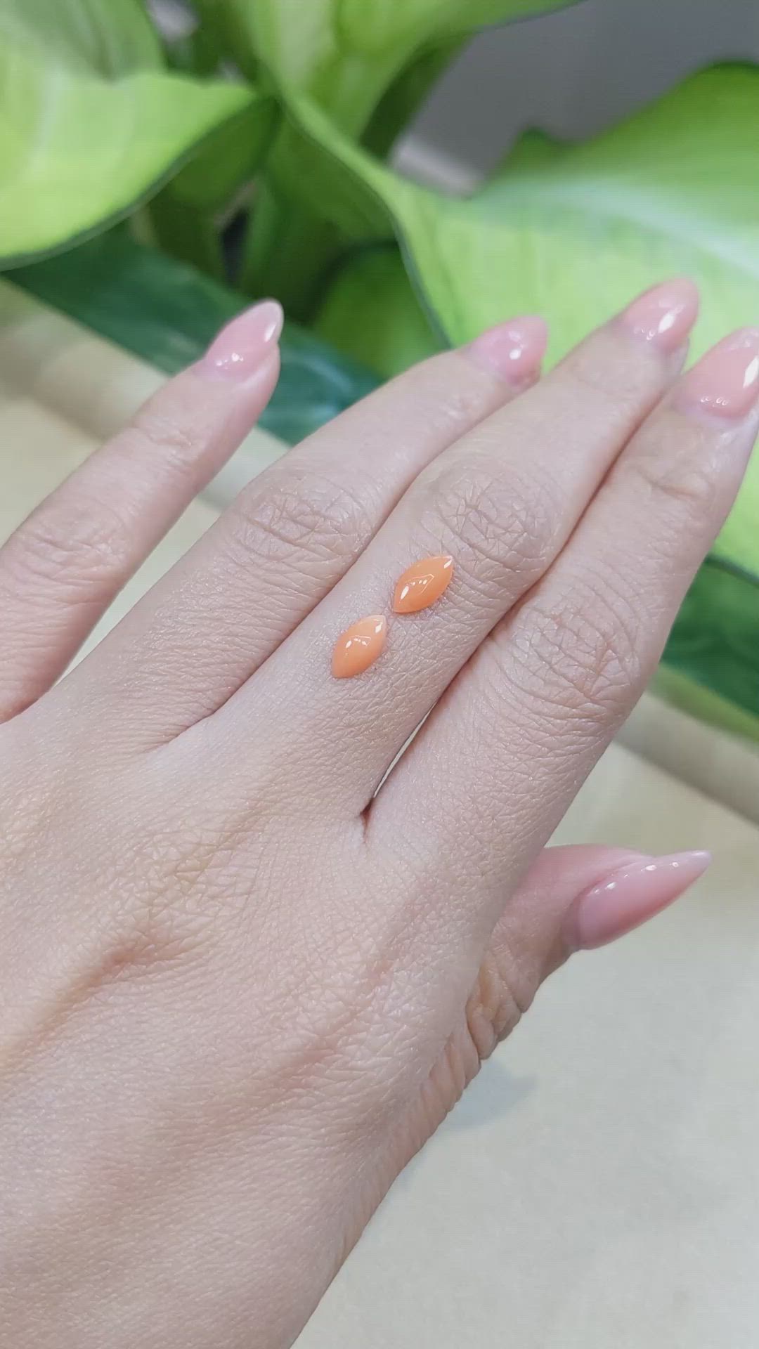 0.95 Ct.Tw.Total Carat Weight Cabochon Coral Pair from Italy Size Video