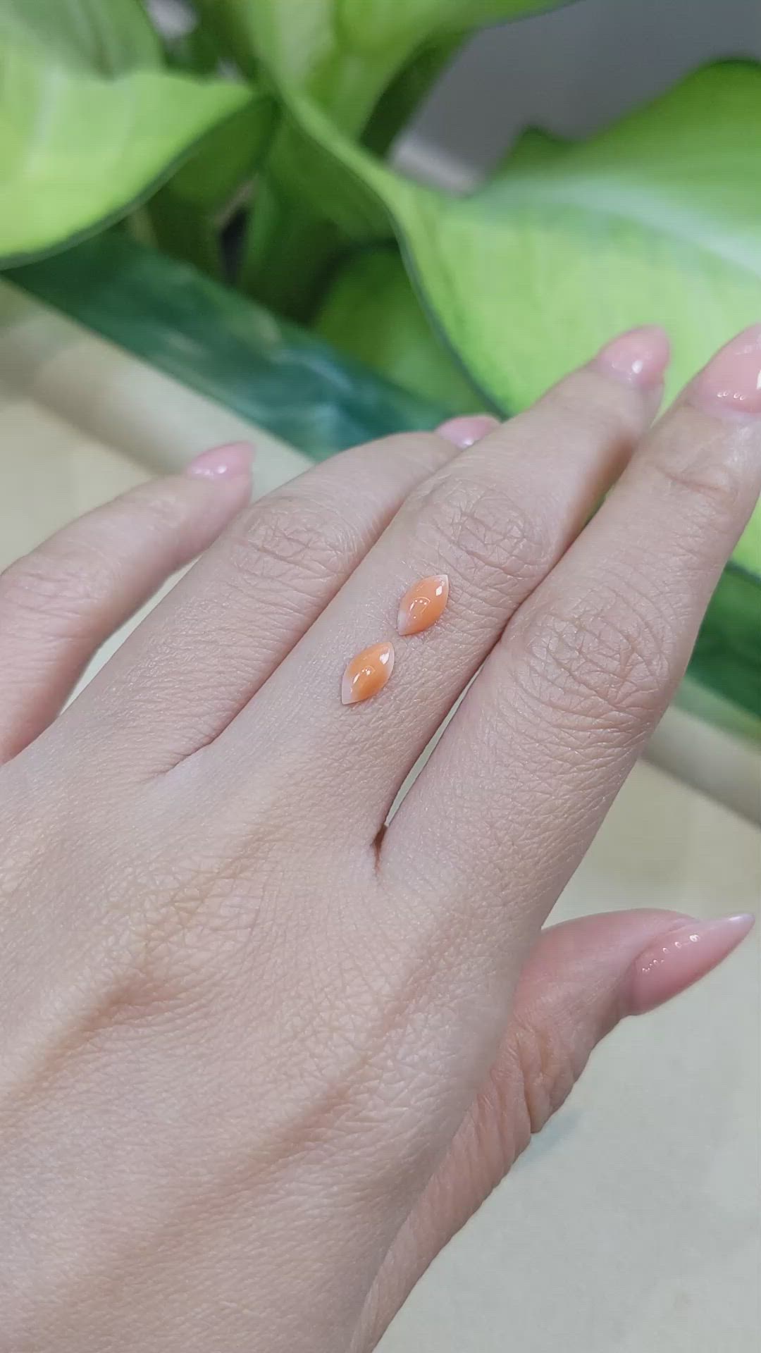 0.74&nbsp;Ct.Tw.Total Carat Weight Cabochon Coral Pair from Italy Size Video