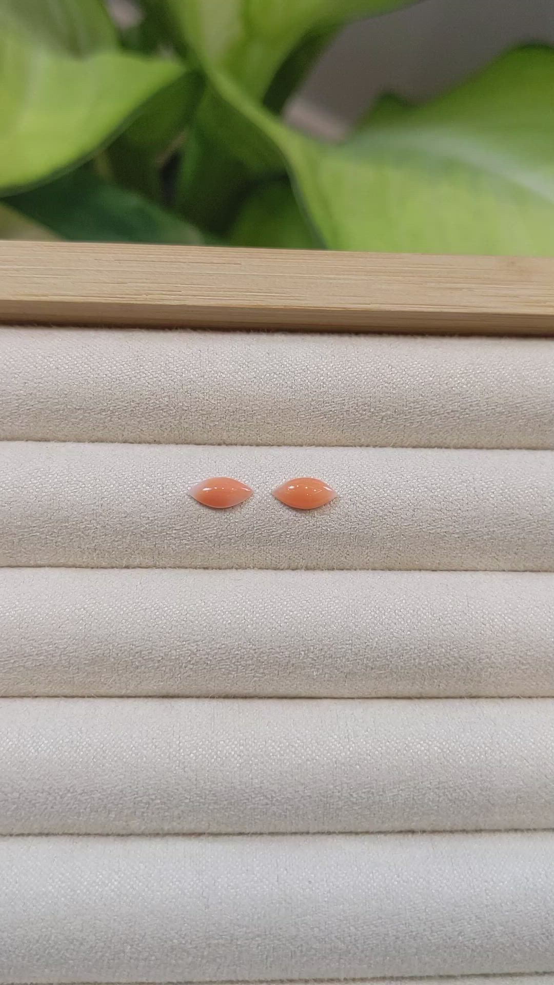 0.74&nbsp;Ct.Tw.Total Carat Weight Cabochon Coral Pair from Italy Size Video