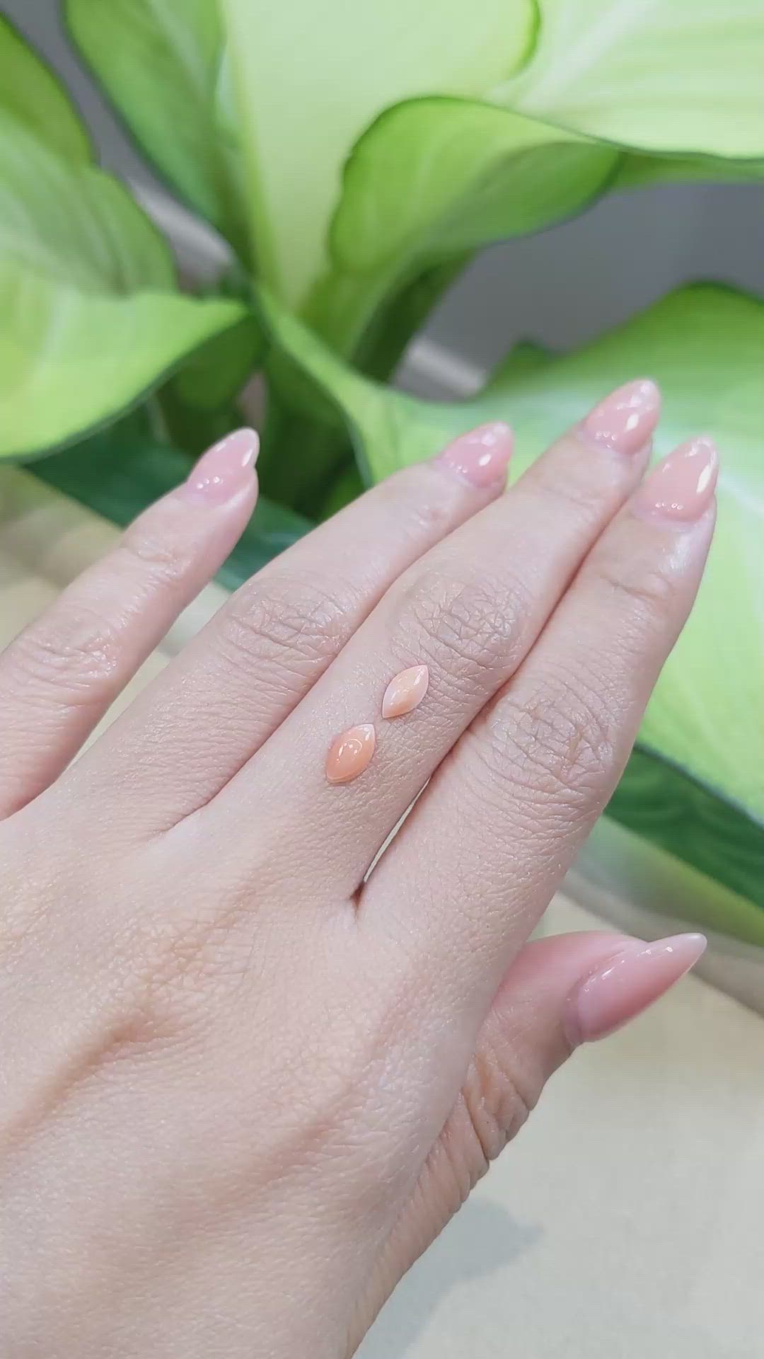 0.85&nbsp;Ct.Tw.Total Carat Weight Cabochon Coral Pair from Italy Size Video