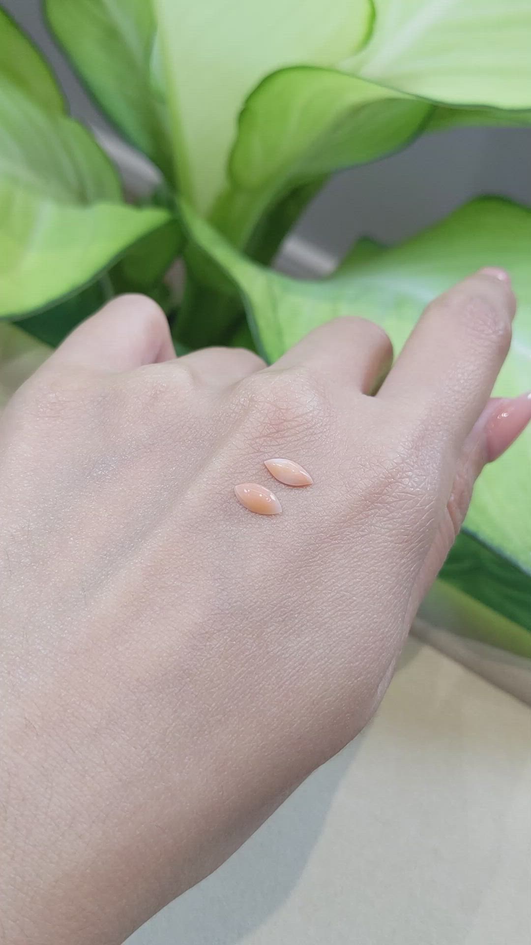 0.85&nbsp;Ct.Tw.Total Carat Weight Cabochon Coral Pair from Italy Size Video