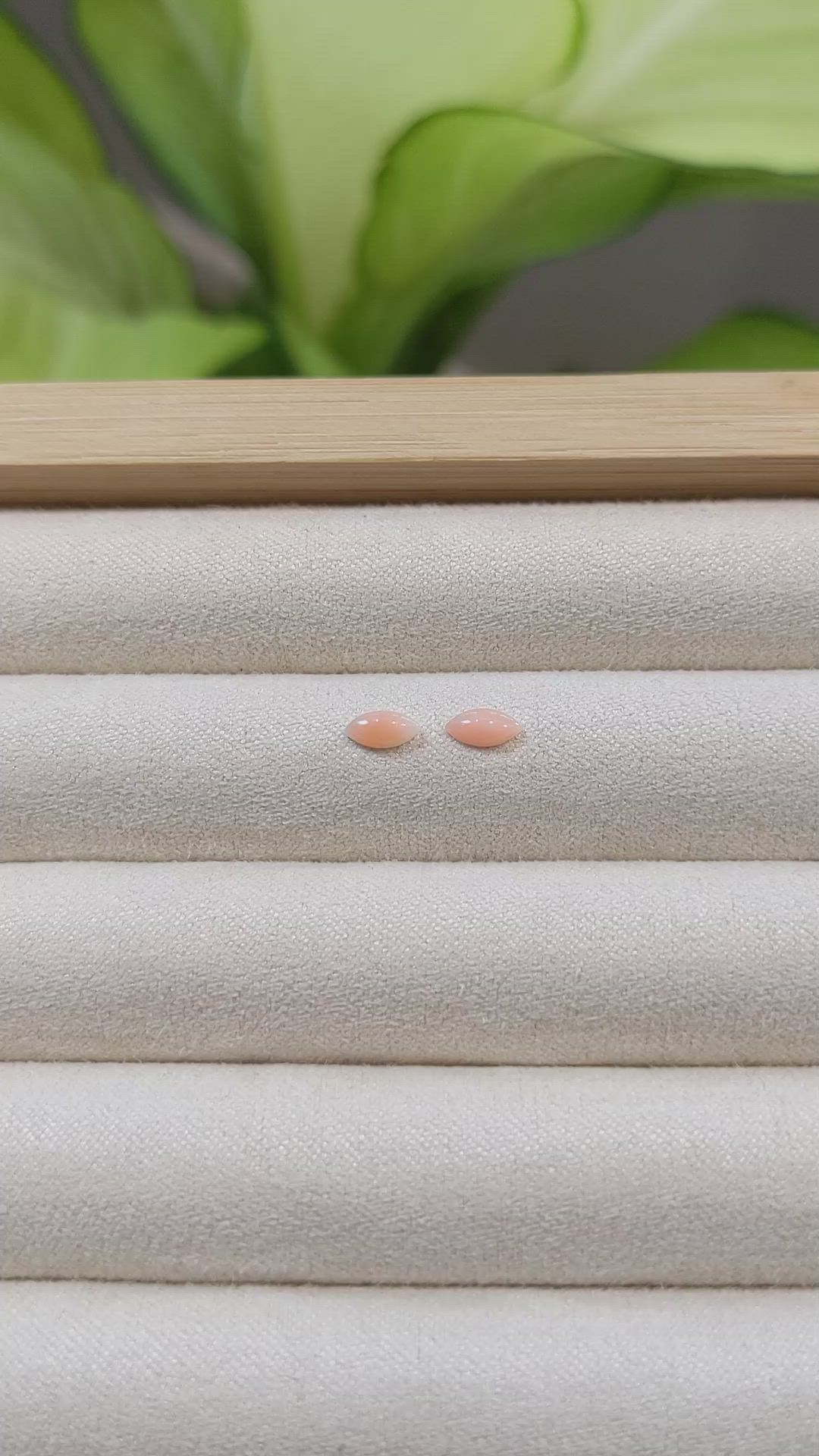 0.41&nbsp;Ct.Tw.Total Carat Weight Cabochon Coral Pair from Italy Size Video