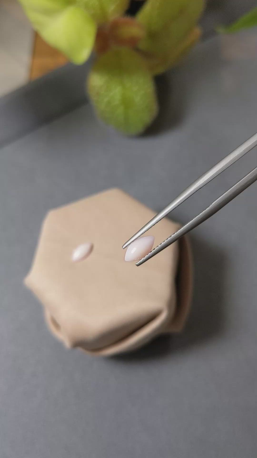 0.84&nbsp;Ct.Tw.Total Carat Weight Cabochon Coral Pair from Italy Size Video