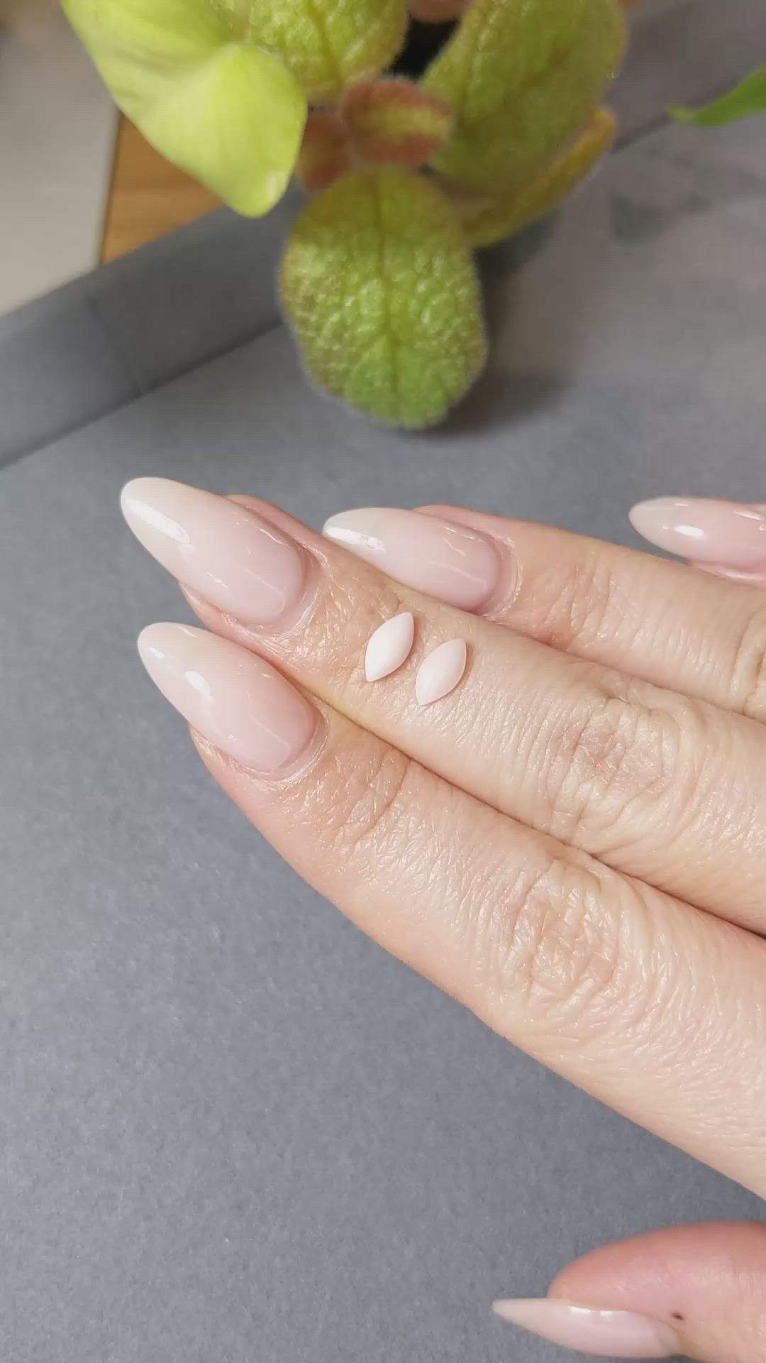 0.84&nbsp;Ct.Tw.Total Carat Weight Cabochon Coral Pair from Italy Size Video