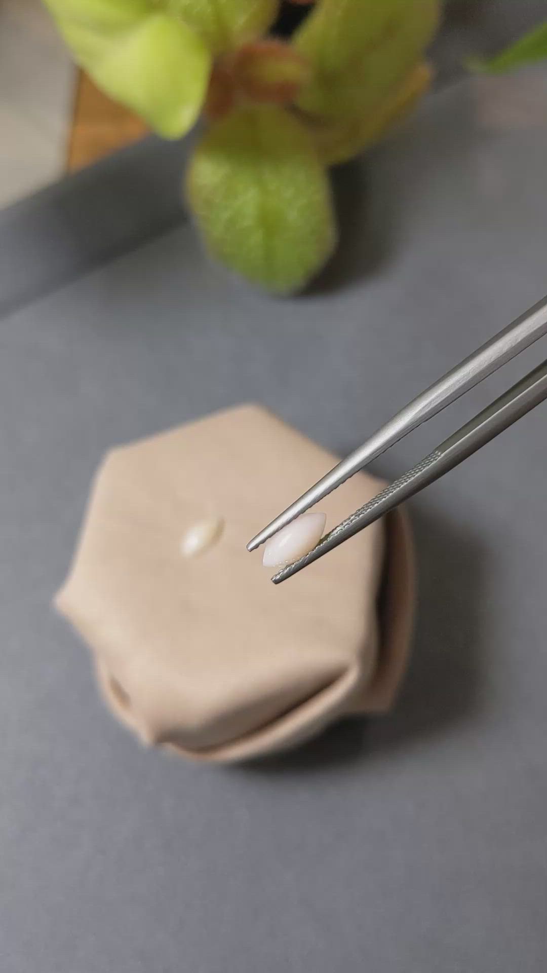 0.69&nbsp;Ct.Tw.Total Carat Weight Cabochon Coral Pair from Italy Size Video