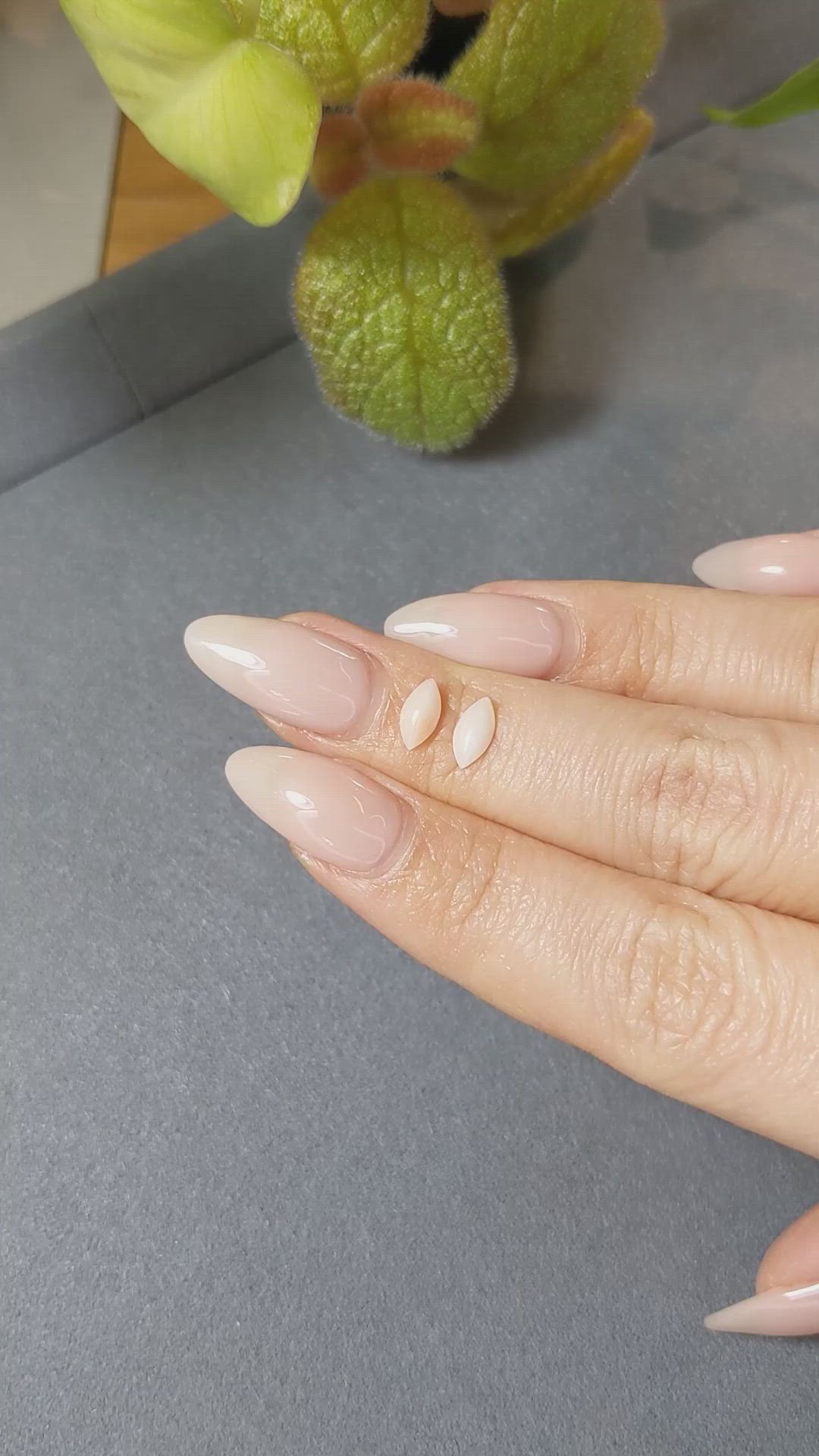 0.69&nbsp;Ct.Tw.Total Carat Weight Cabochon Coral Pair from Italy Size Video