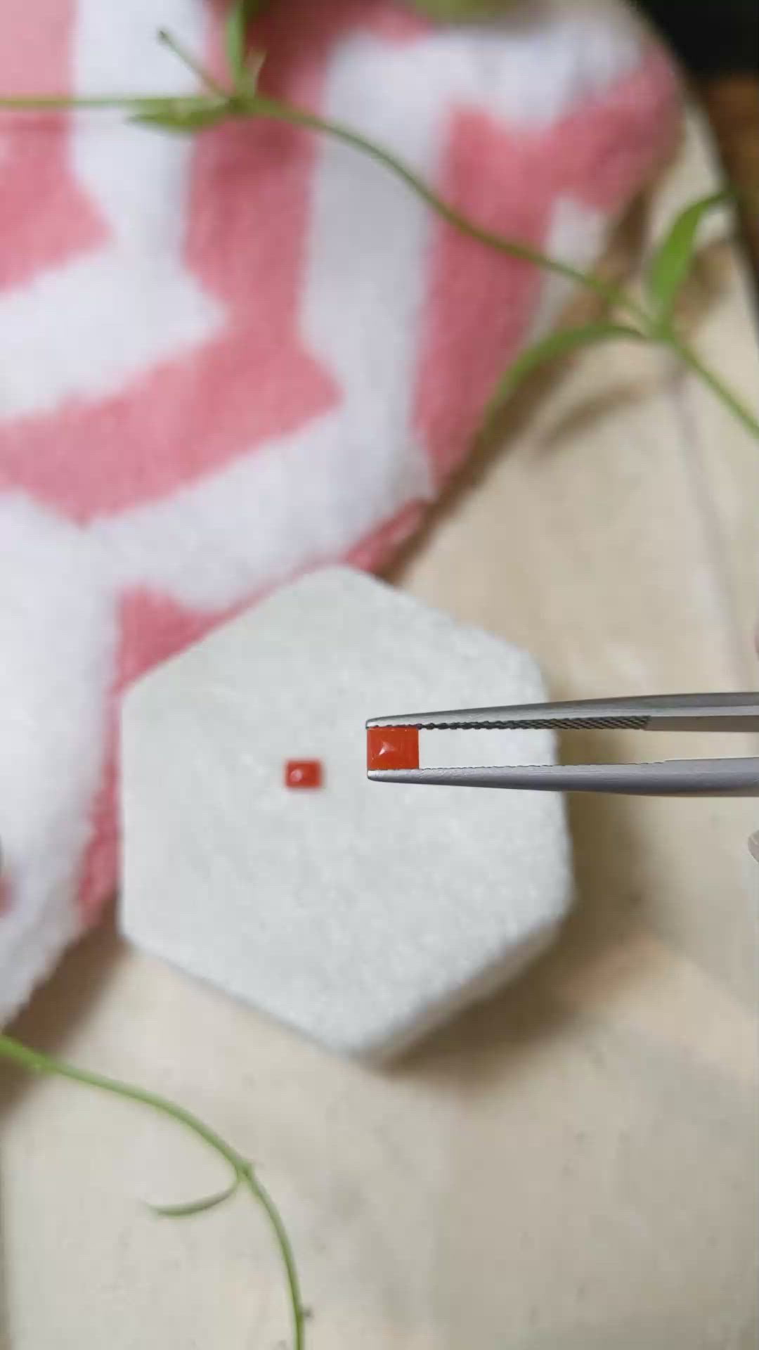 0.32&nbsp;Ct.Tw.Total Carat Weight Cabochon Coral Pair from Italy Size Video