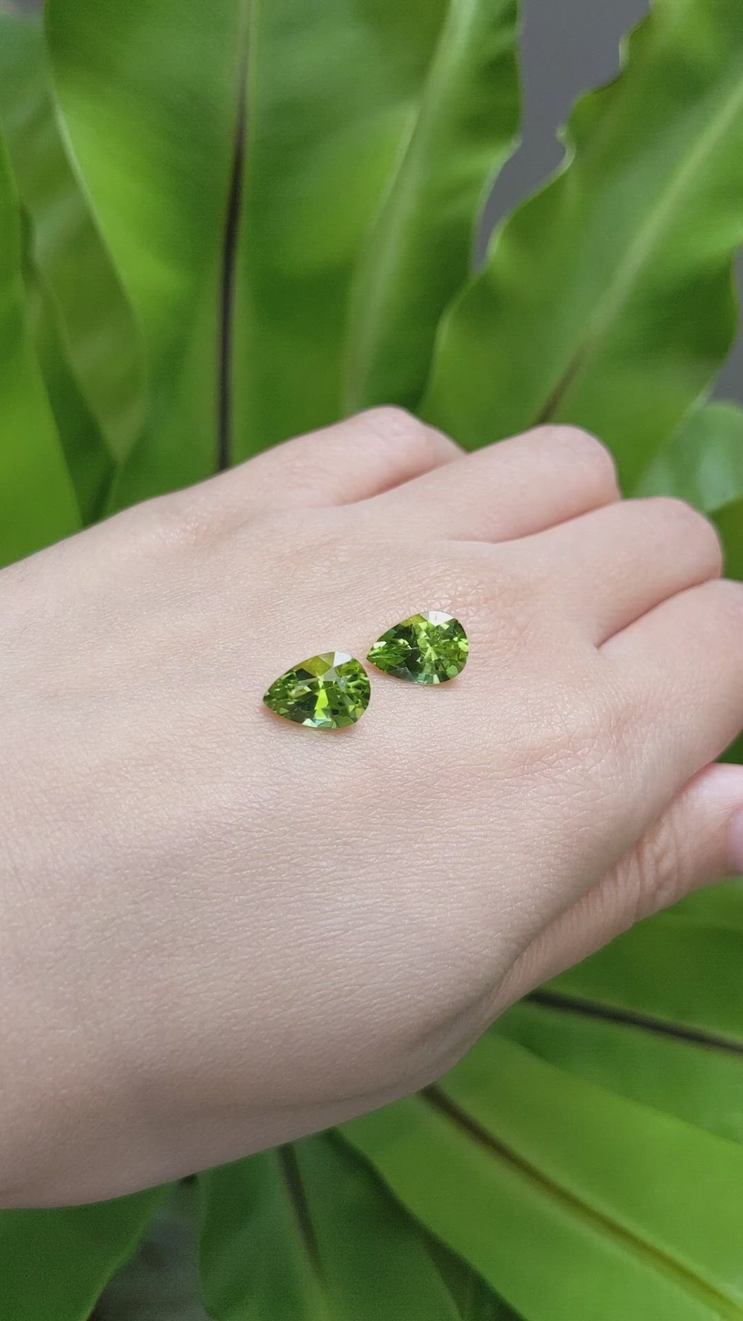 5.29 Ct.Tw.Total Carat Weight Peridot Pair from Burma (Myanmar) Size Video