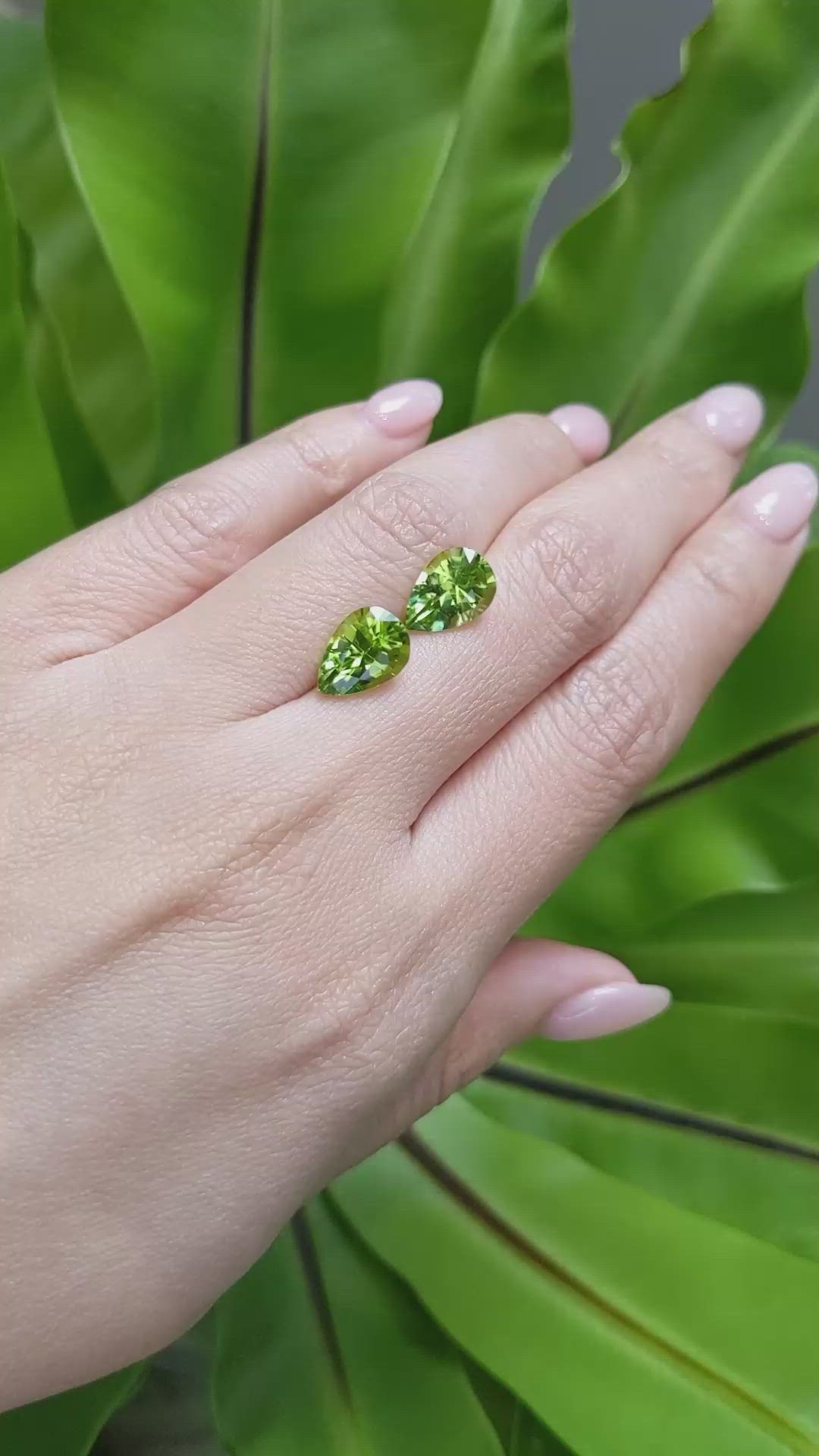 5.29 Ct.Tw.Total Carat Weight Peridot Pair from Burma (Myanmar) Size Video
