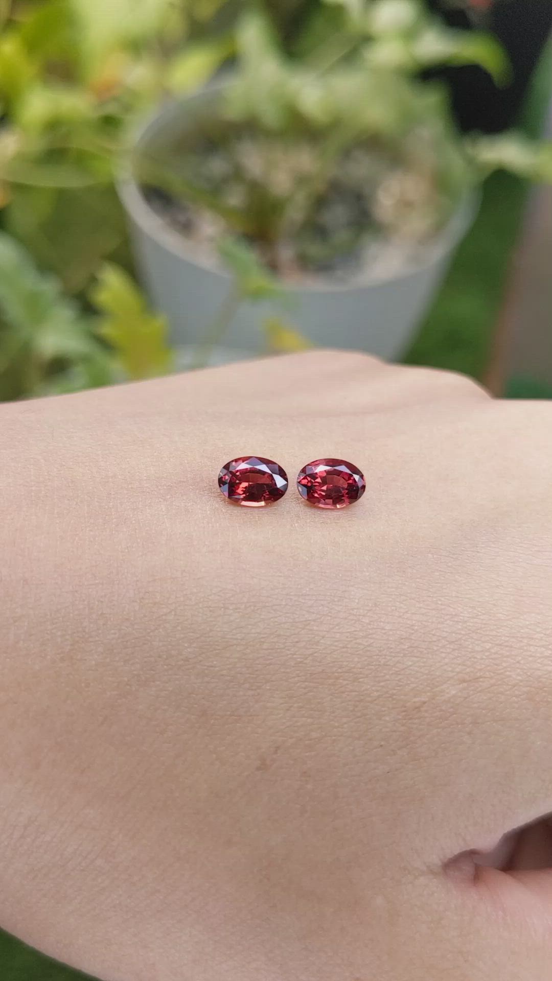 1.82 Ct.Tw.Total Carat Weight Garnet Pair from Ceylon (Sri Lanka) Size Video