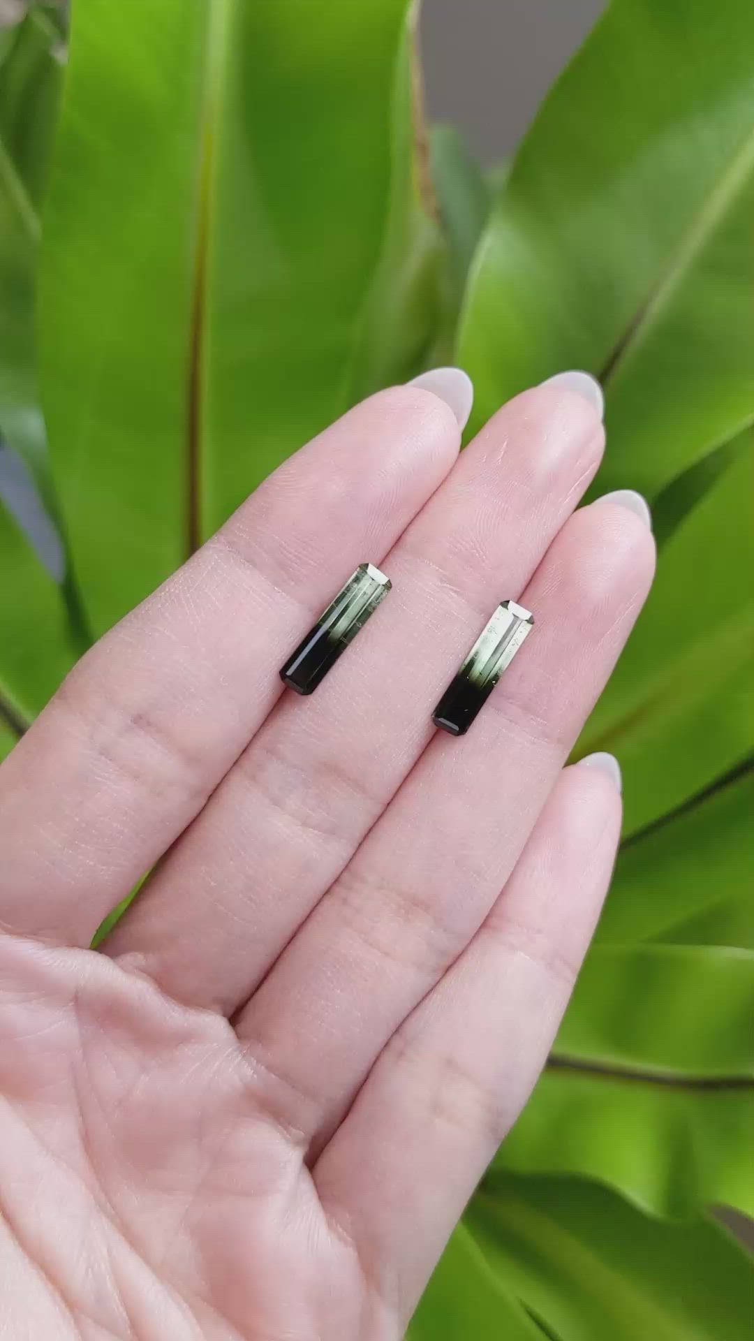 2.66 Ct.Tw.Total Carat Weight Tourmaline Pair from Brazil Size Video