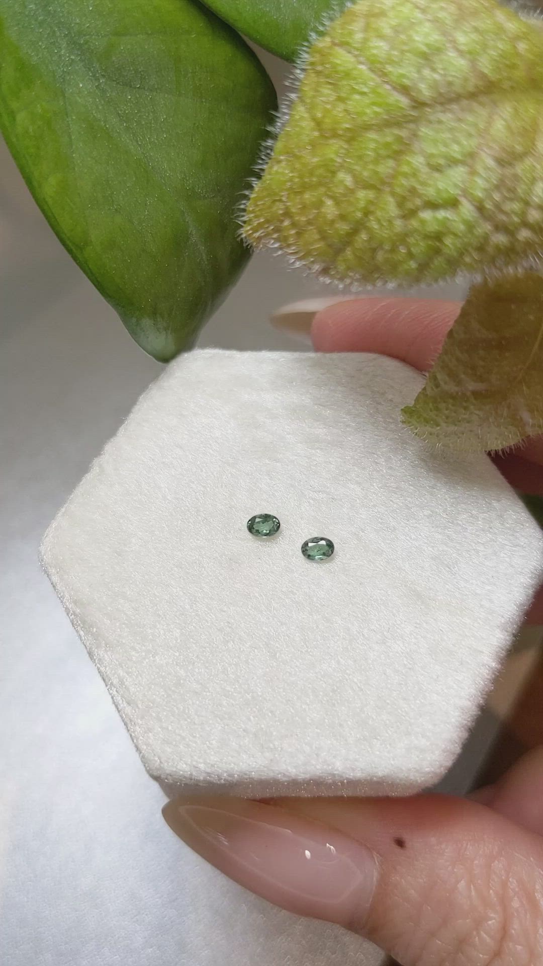 0.17&nbsp;Ct.Tw.Total Carat Weight Alexandrite Pair from Ceylon (Sri Lanka) Size Video