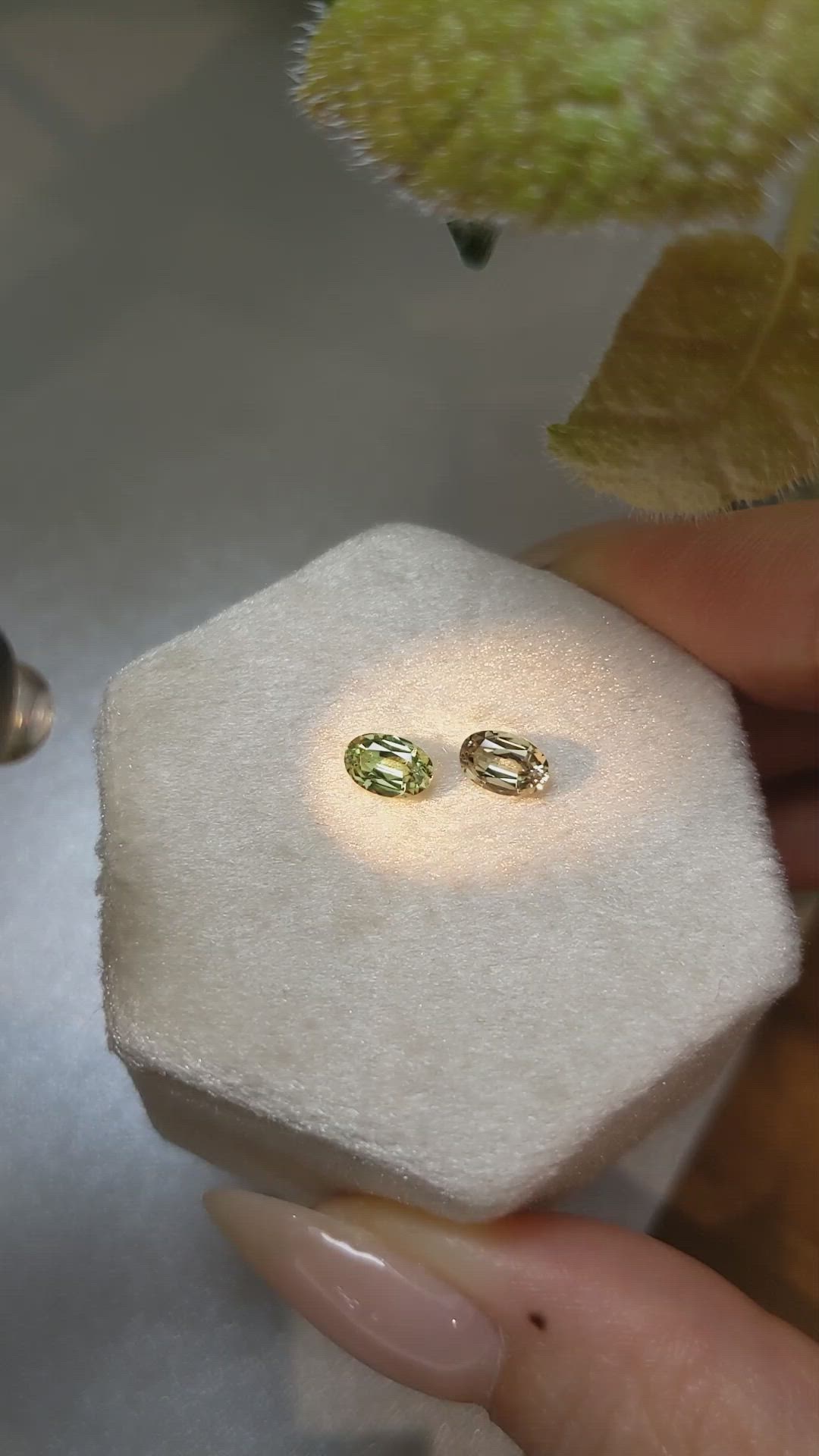 1.10 Ct.Tw.Total Carat Weight Alexandrite Pair from Ceylon (Sri Lanka) Size Video