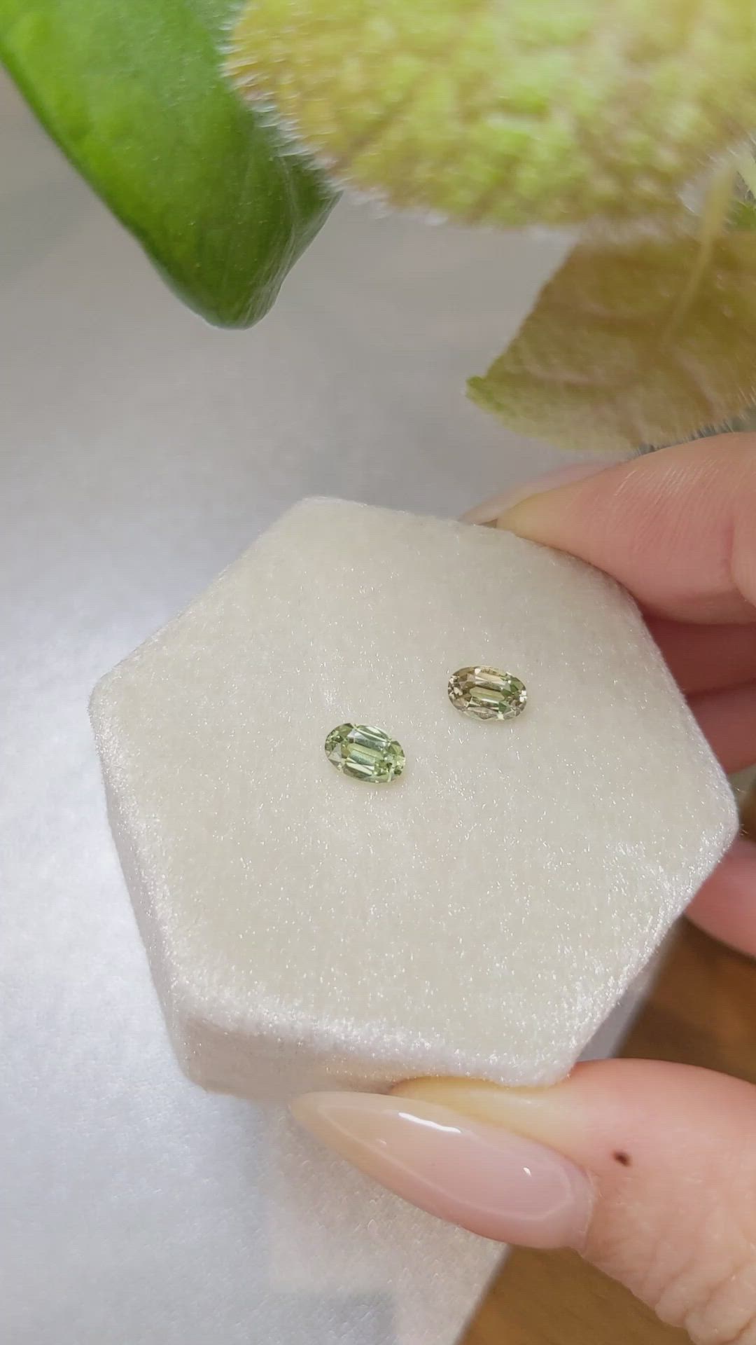 1.10 Ct.Tw.Total Carat Weight Alexandrite Pair from Ceylon (Sri Lanka) Size Video