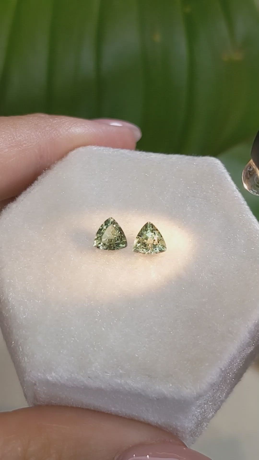 1.05 Ct.Tw.Total Carat Weight Alexandrite Pair from Ceylon (Sri Lanka) Size Video