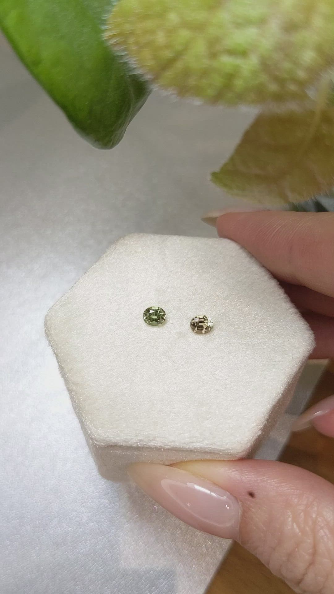 0.67&nbsp;Ct.Tw.Total Carat Weight Alexandrite Pair from Ceylon (Sri Lanka) Size Video