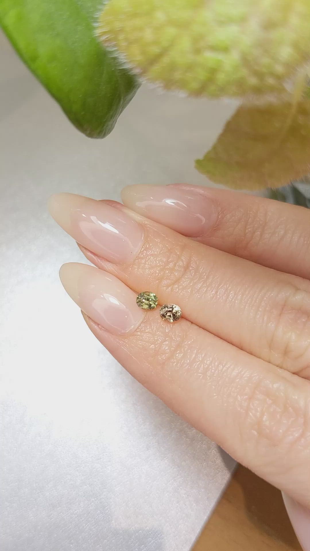 0.67&nbsp;Ct.Tw.Total Carat Weight Alexandrite Pair from Ceylon (Sri Lanka) Size Video